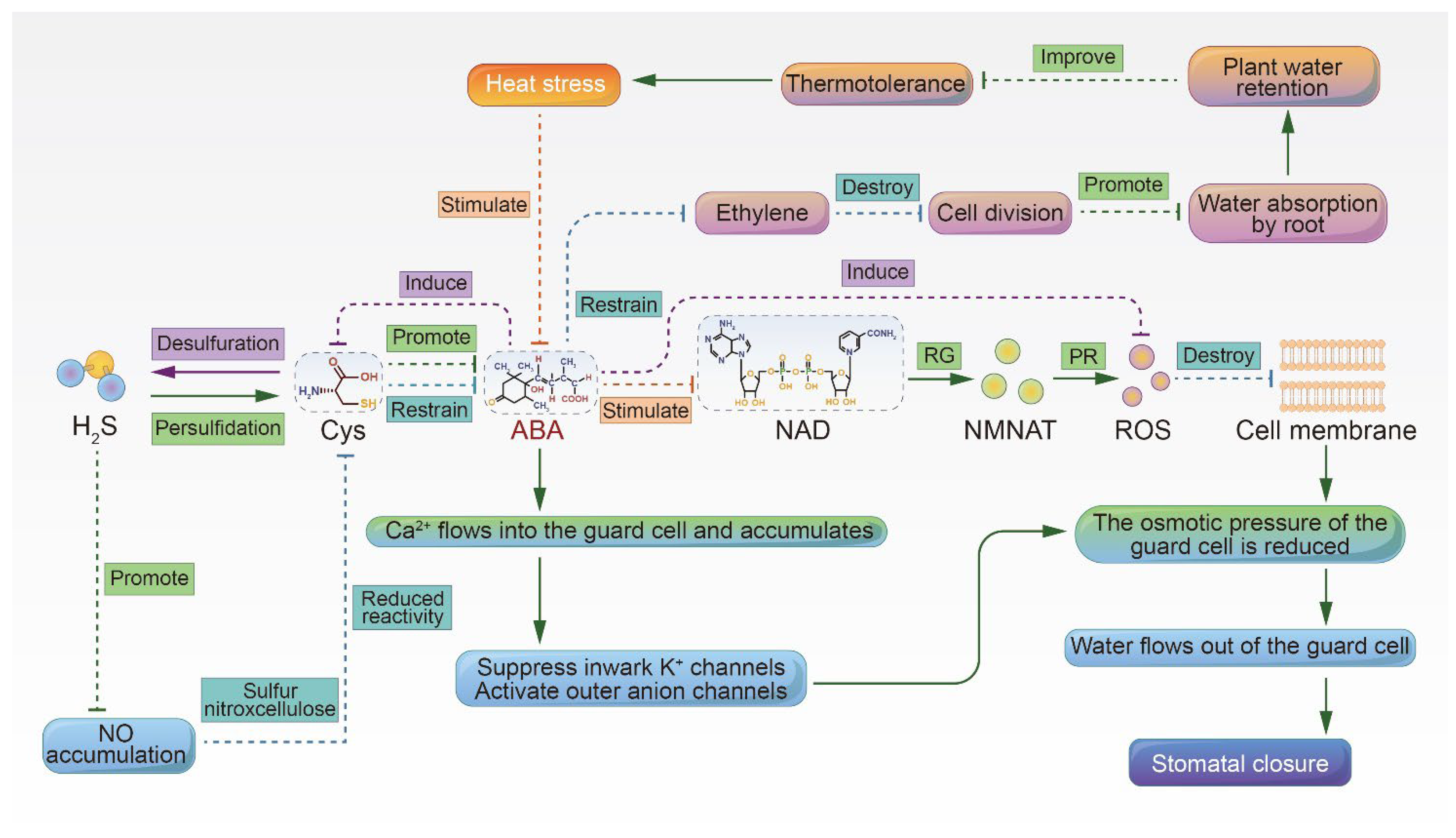 Agronomy 12 01579 g001