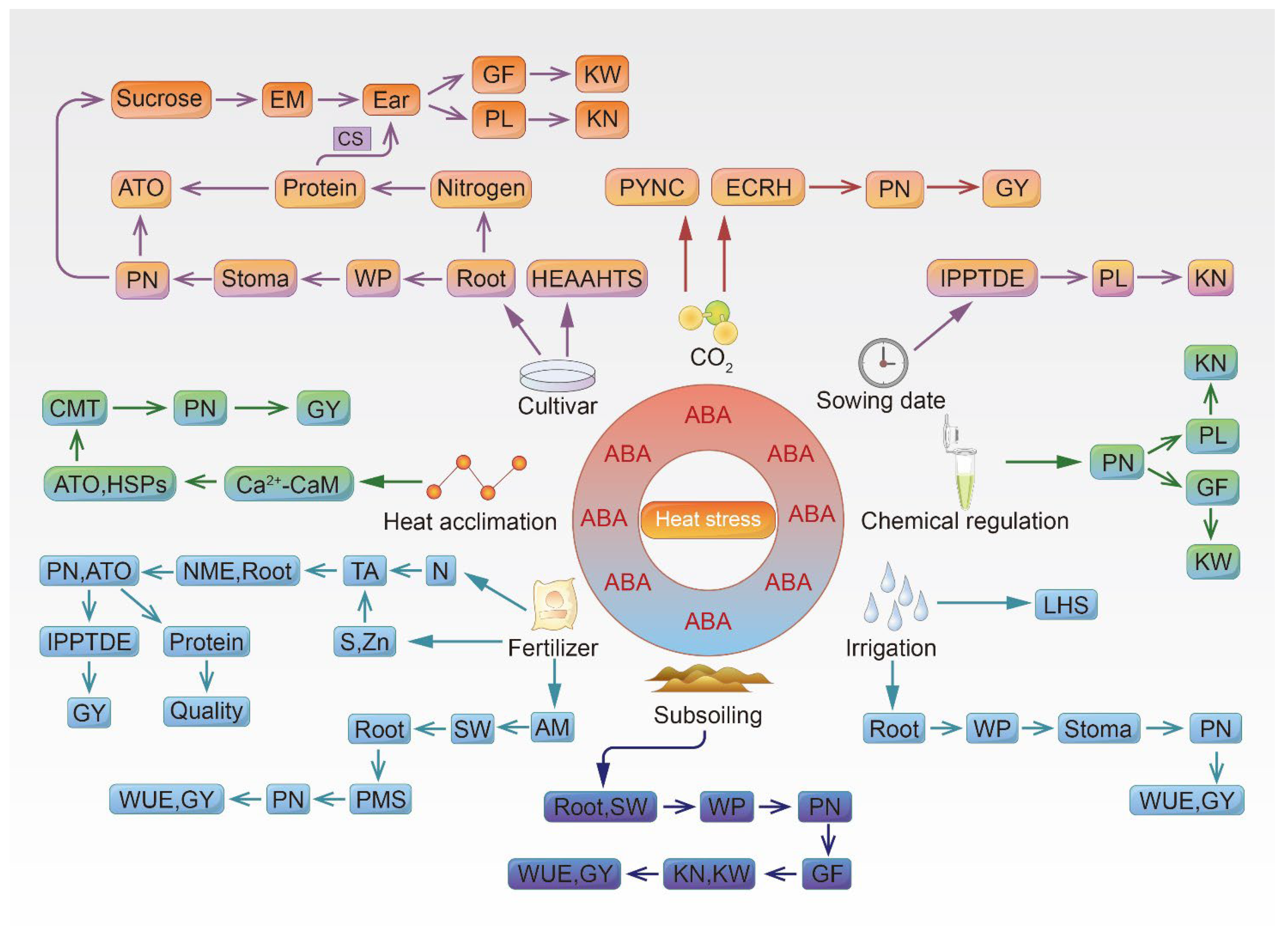 Agronomy 12 01579 g003