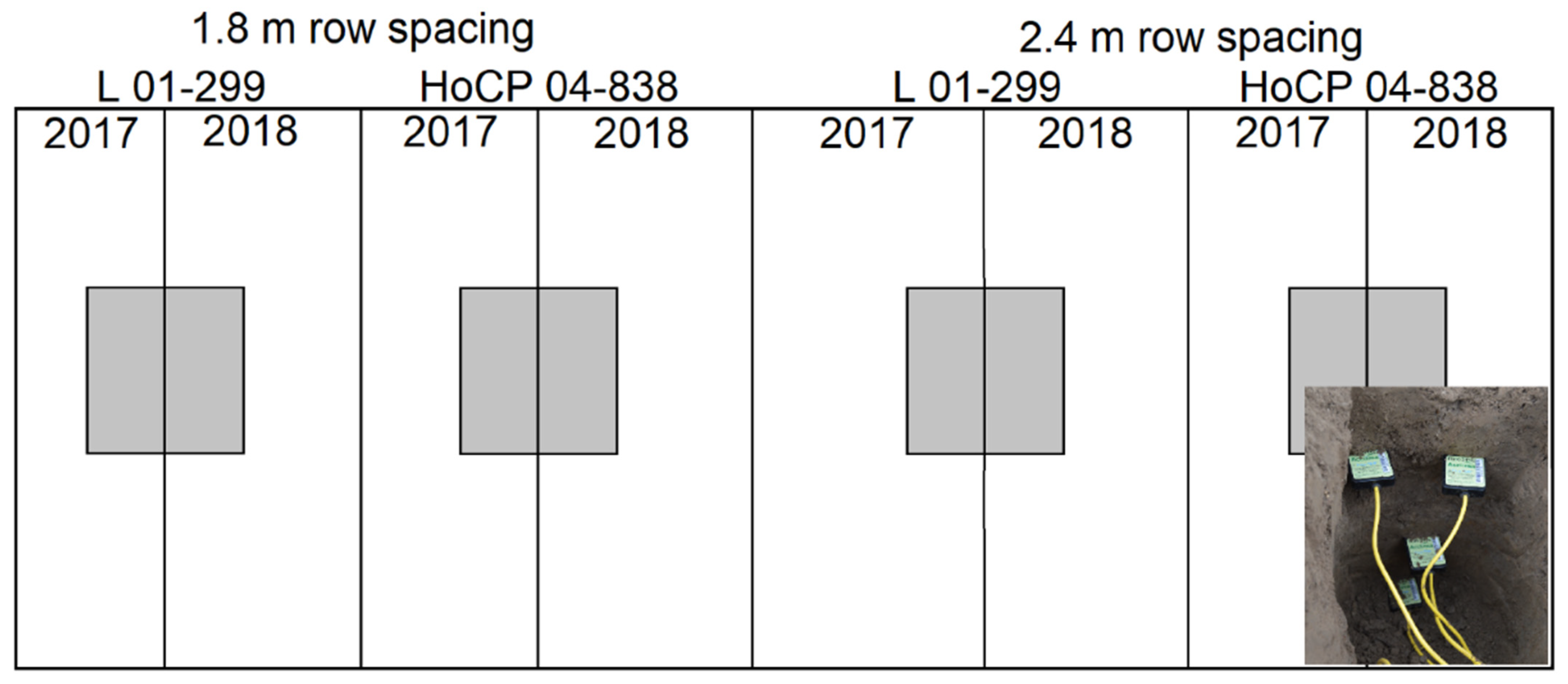 Agronomy 12 01586 g001