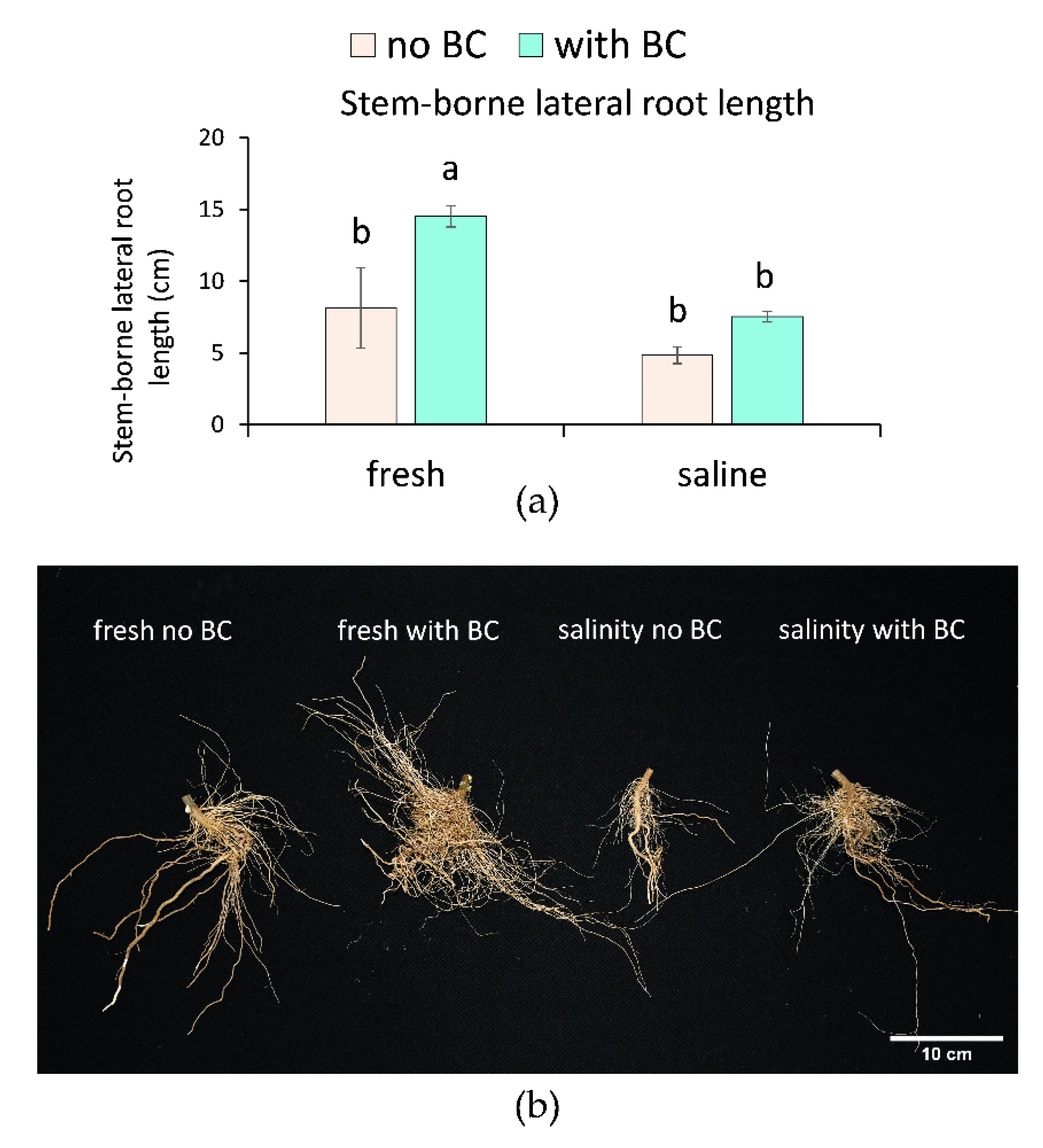 Agronomy 12 01596 g004