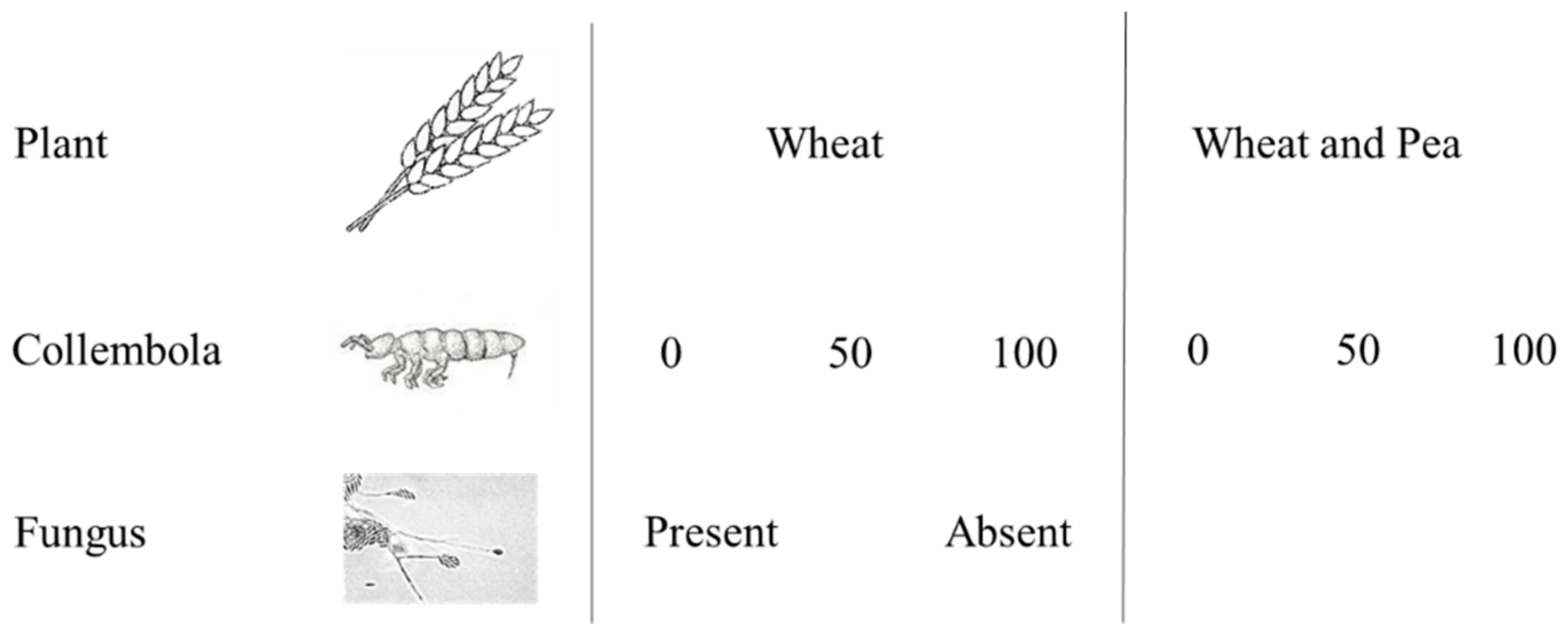 Agronomy 12 01599 g001