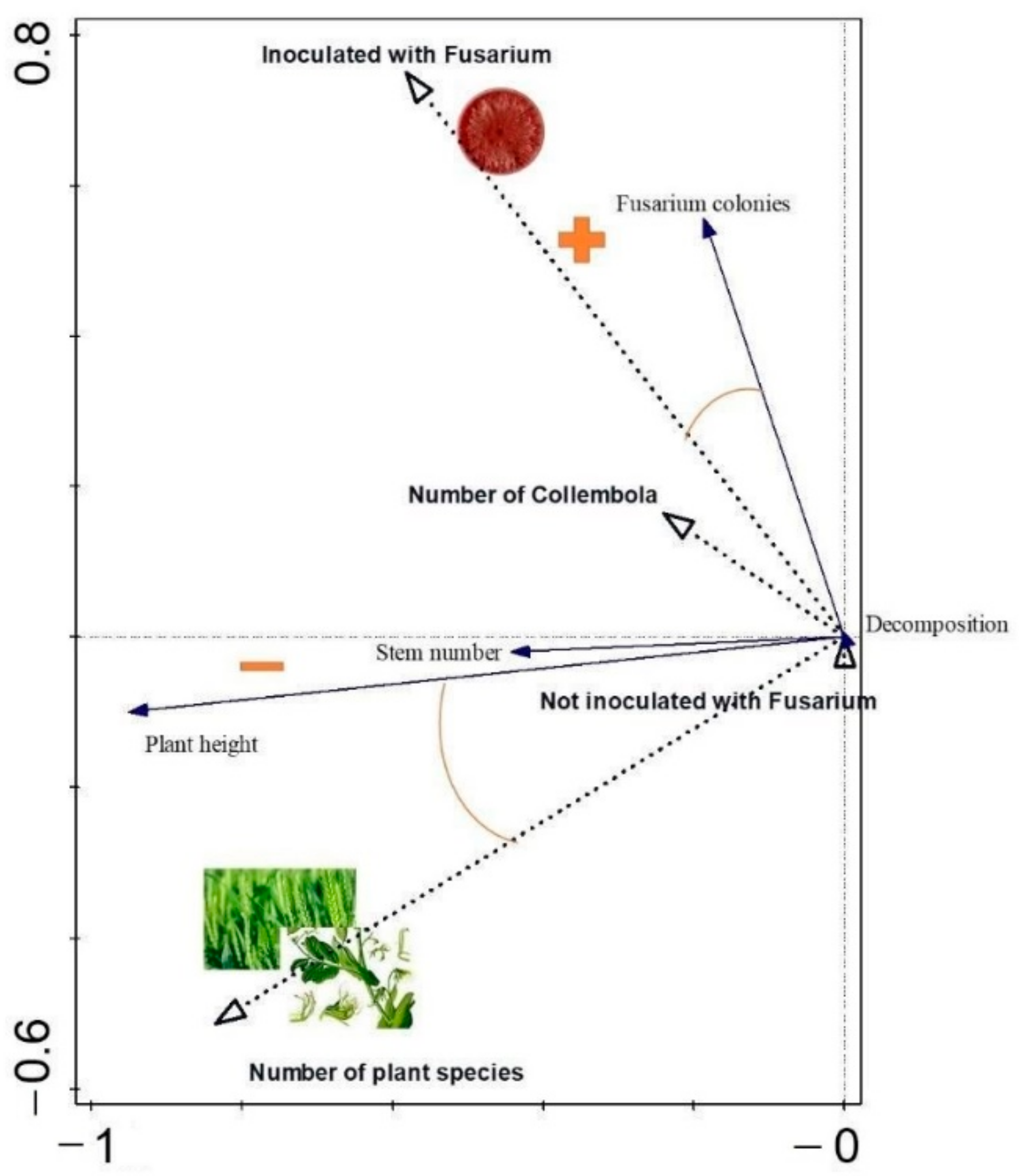 Agronomy 12 01599 g006