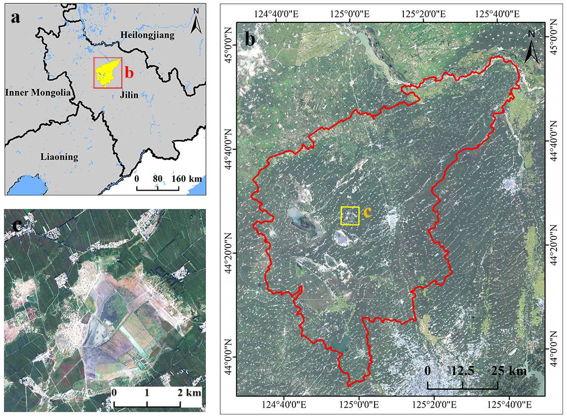 Agronomy 12 01610 g001