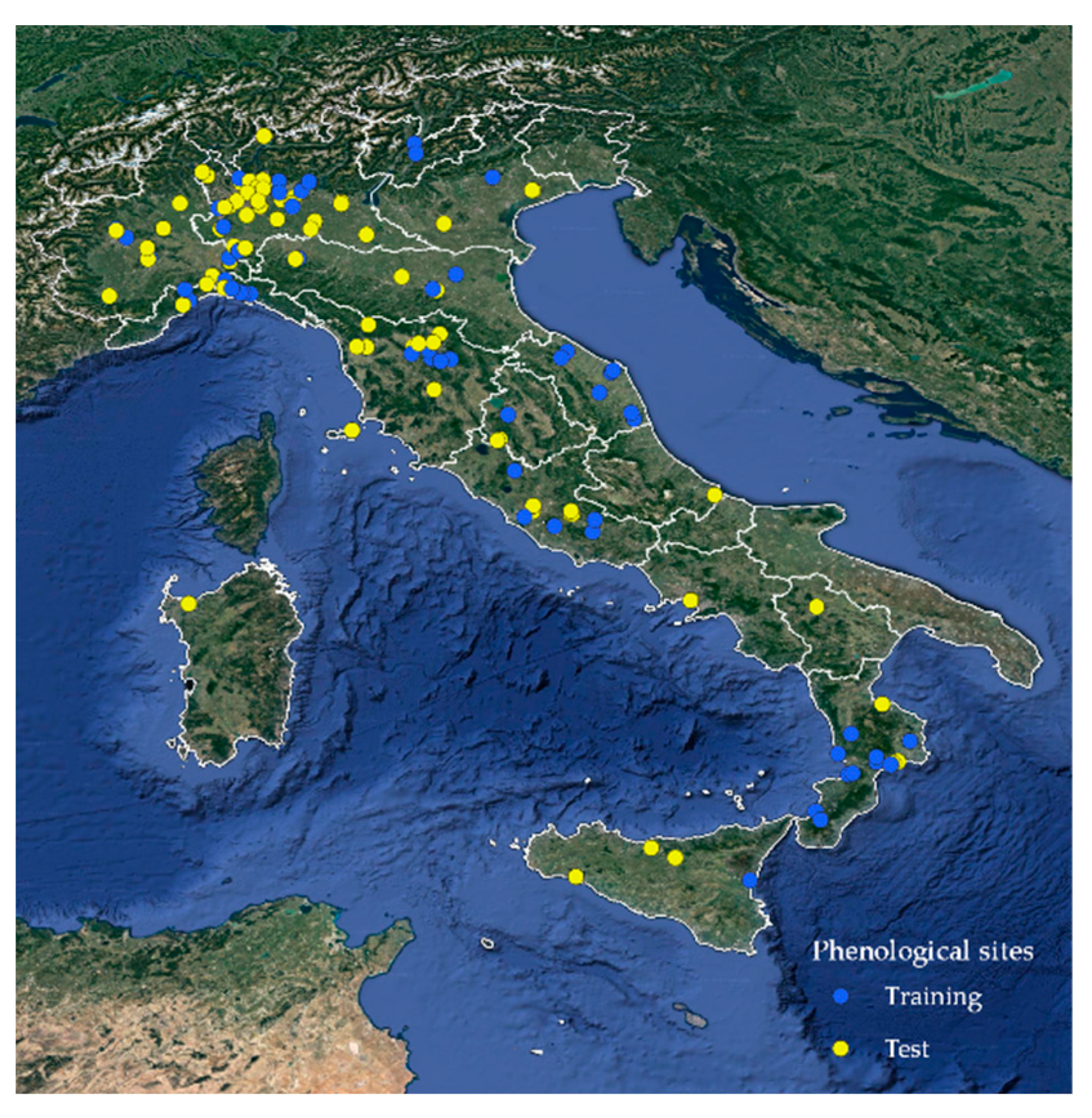 Agronomy 12 01623 g001