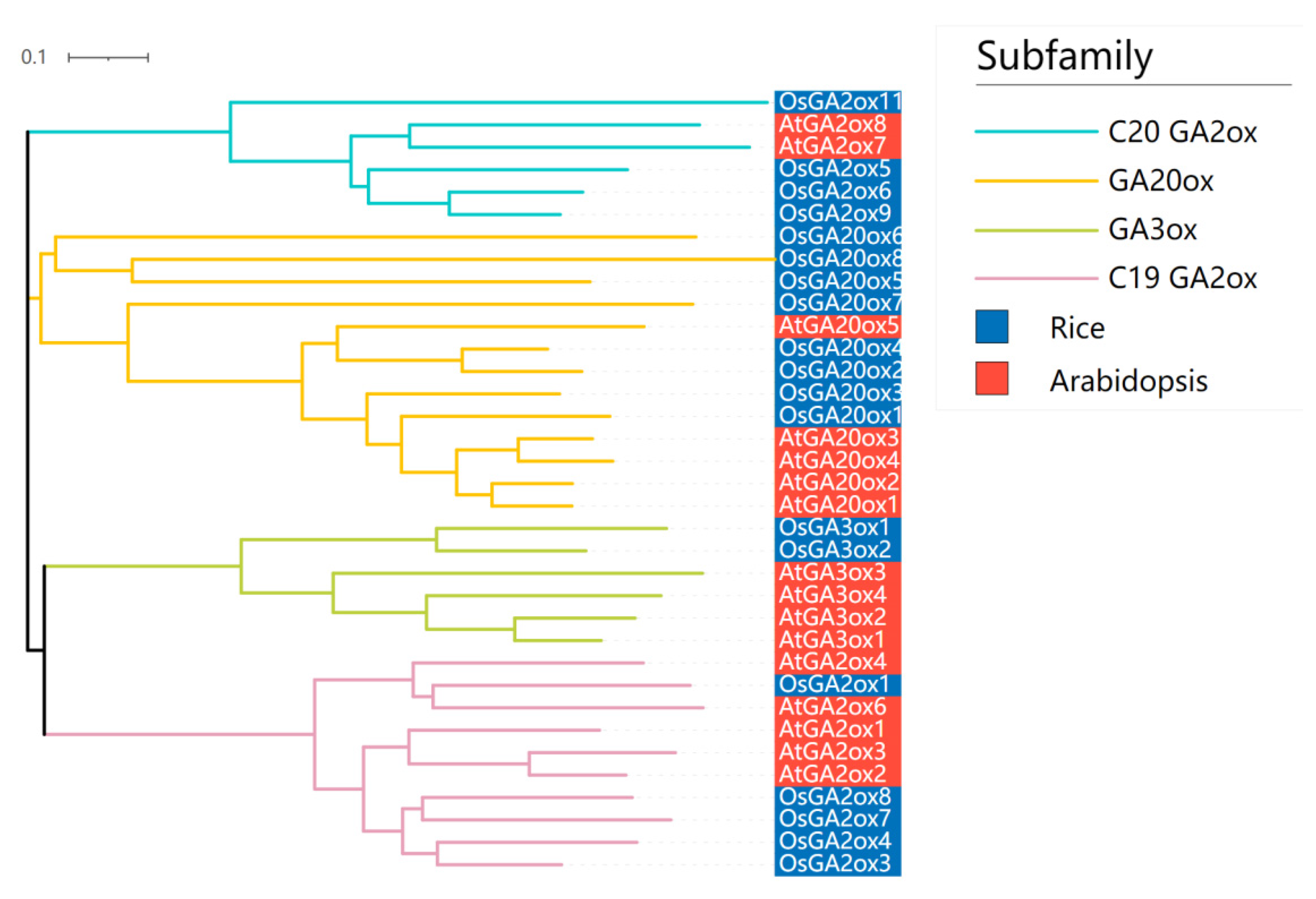 Agronomy 12 01627 g002