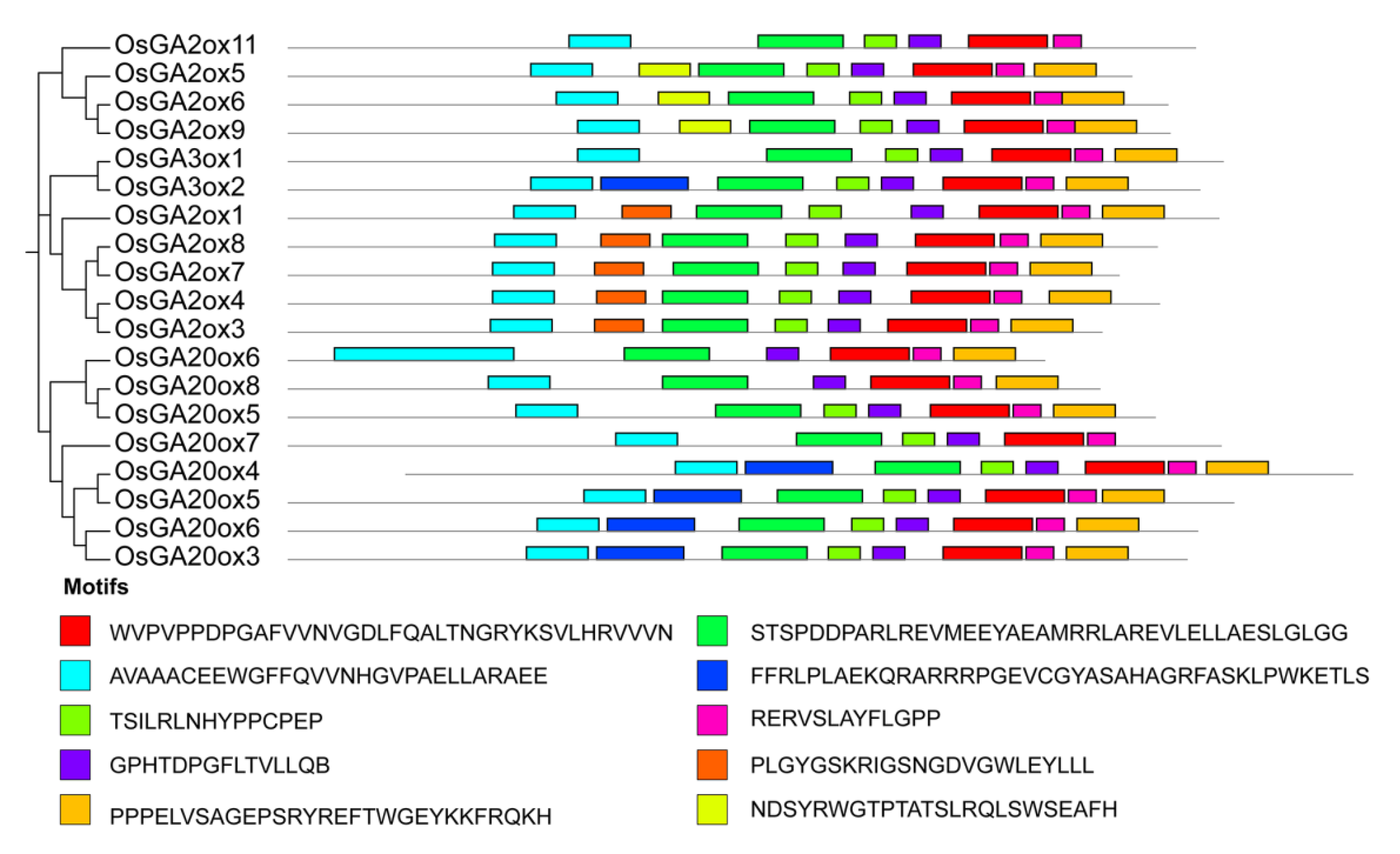 Agronomy 12 01627 g004