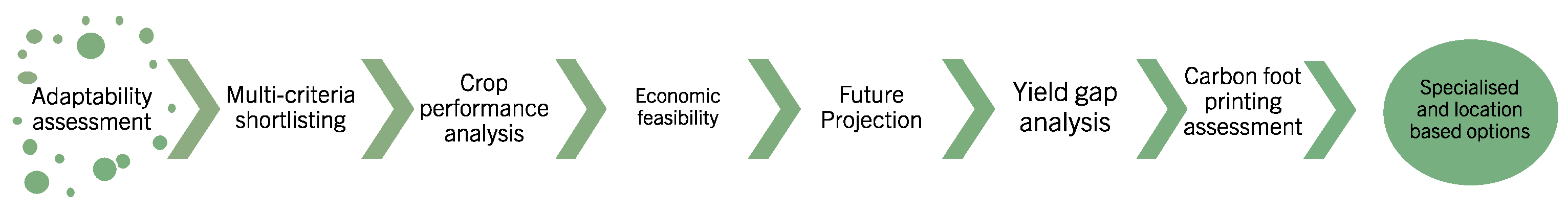 Agronomy 12 01636 g005