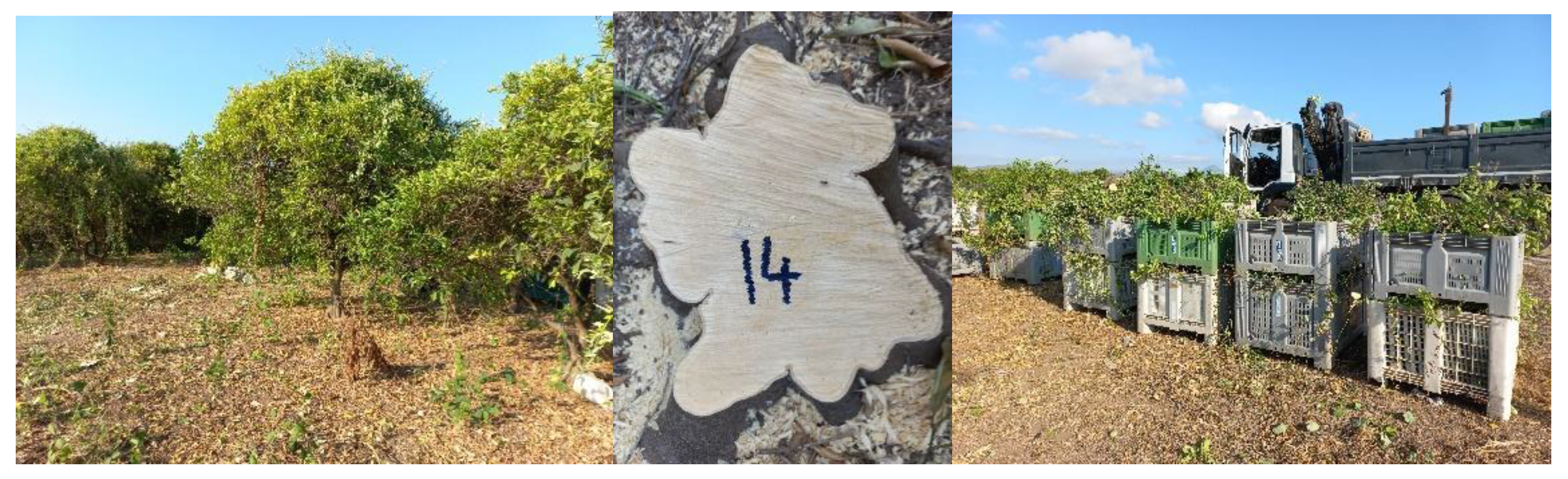 Agronomy 12 01648 g001