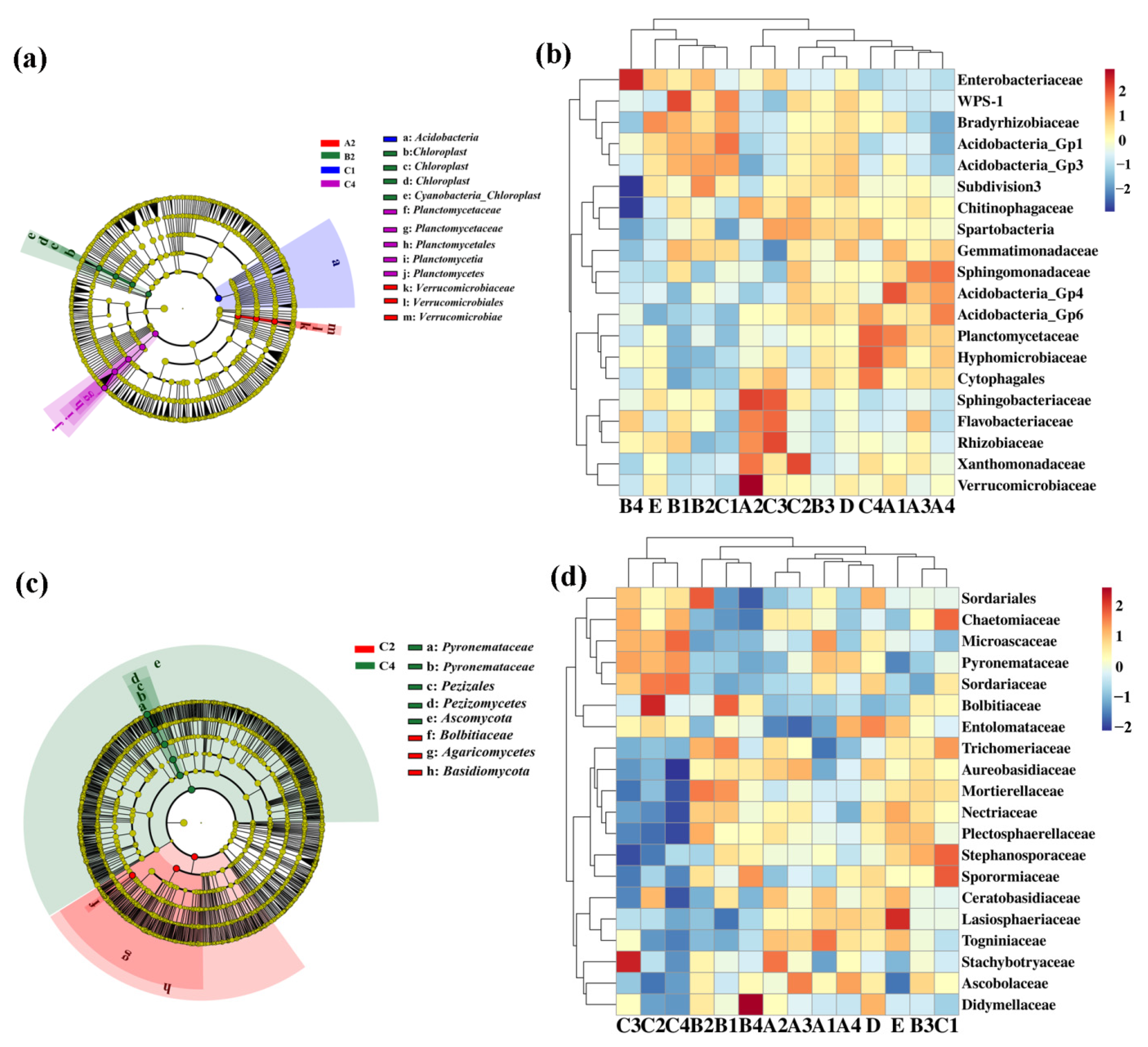 Agronomy 12 01649 g004
