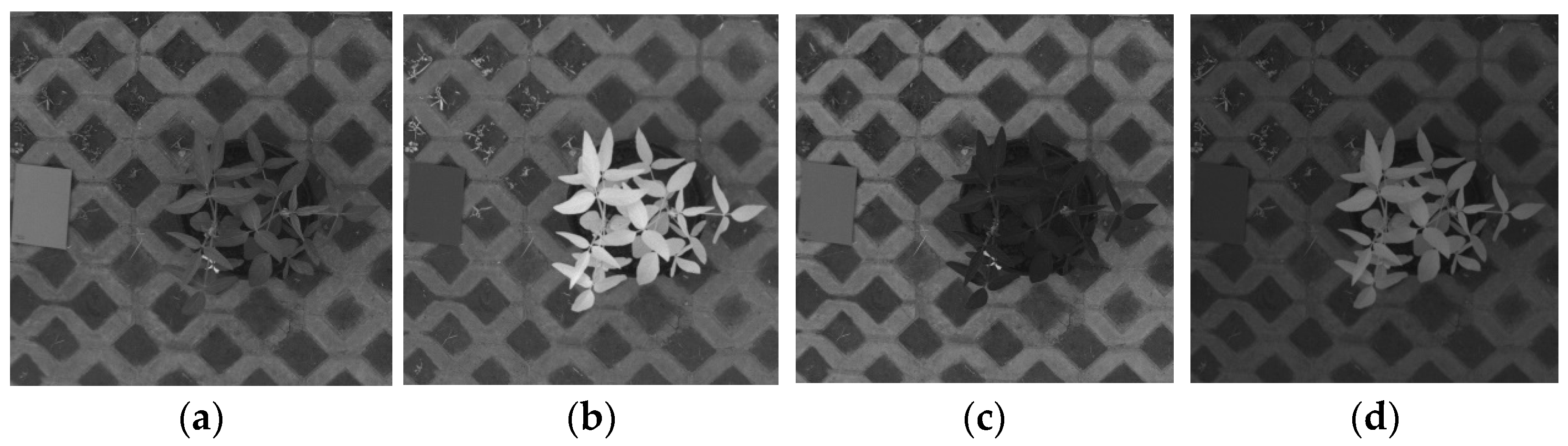 Agronomy 12 01650 g002