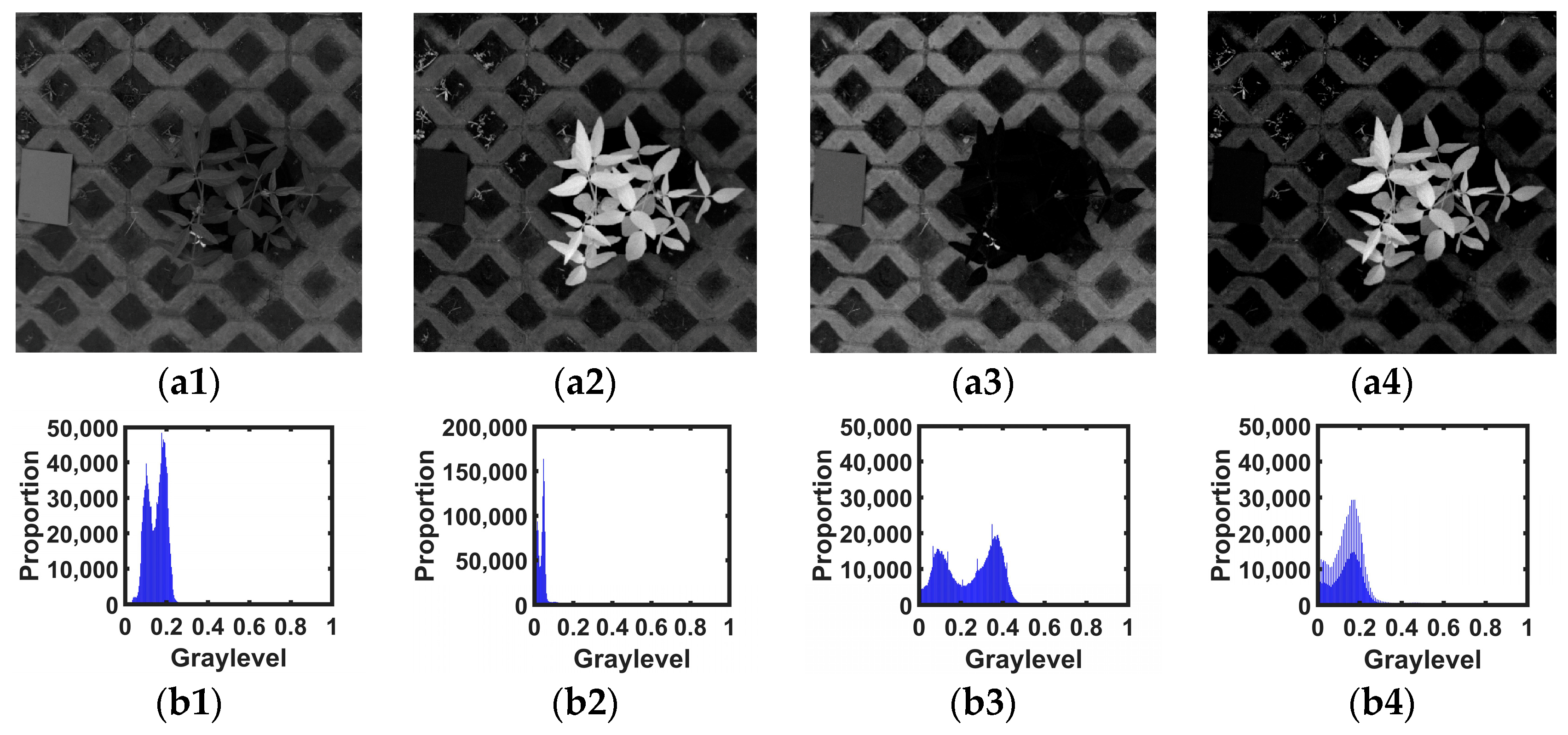 Agronomy 12 01650 g006