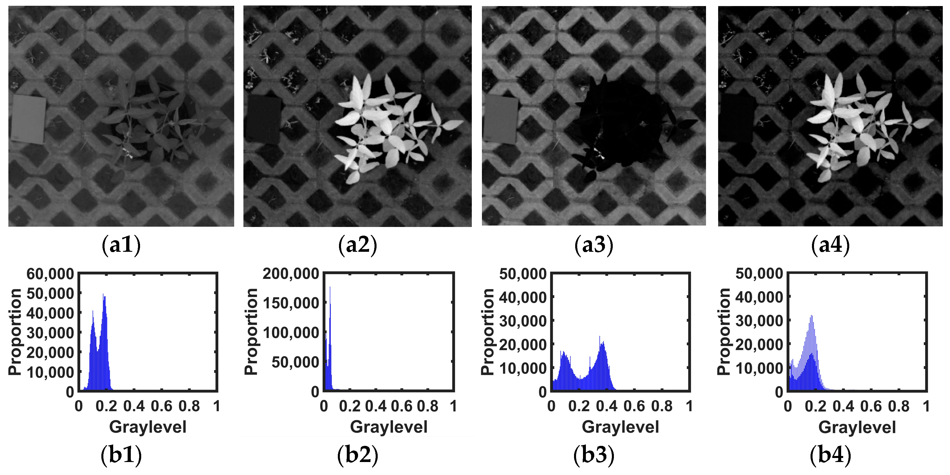 Agronomy 12 01650 g007