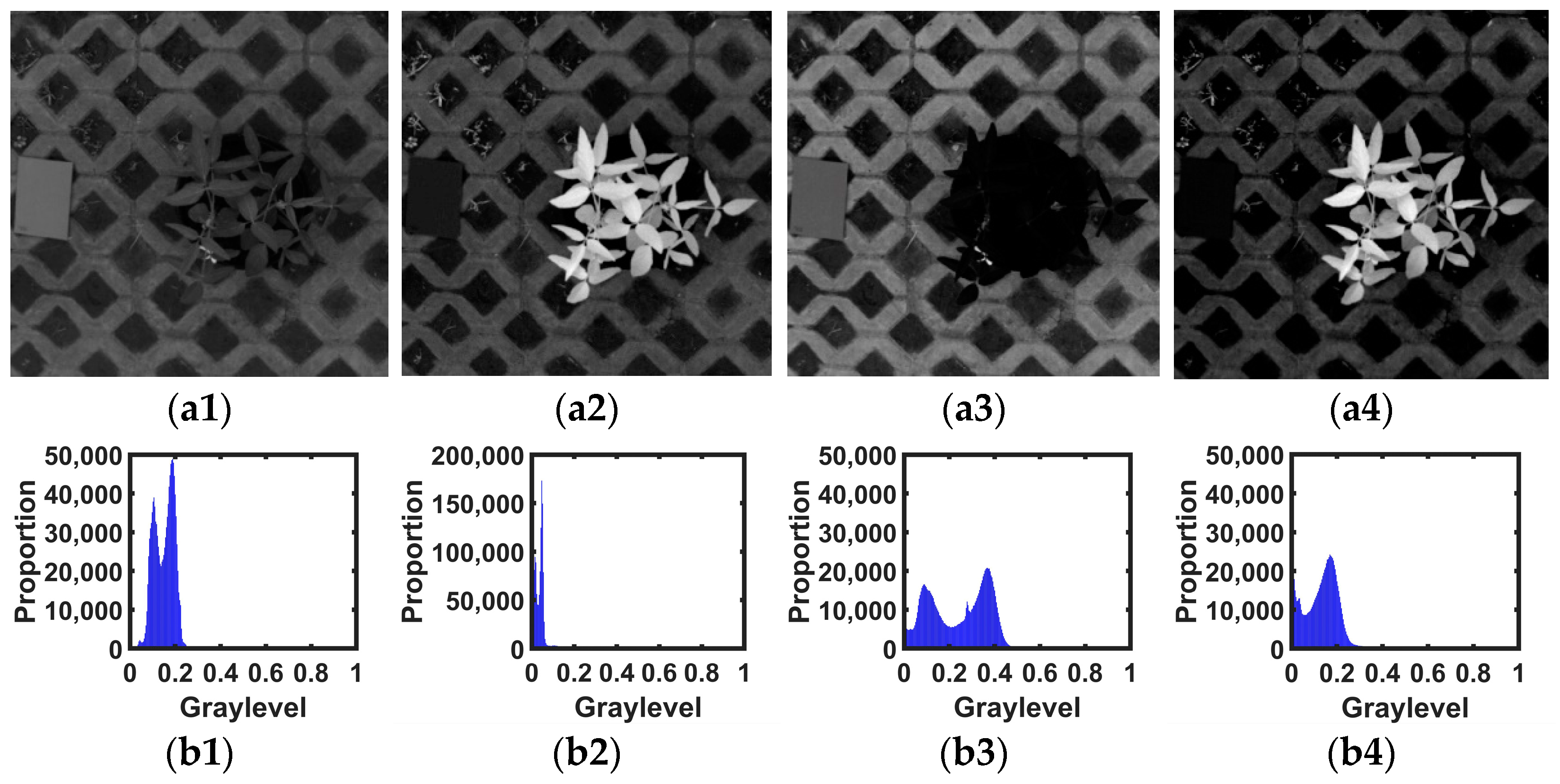 Agronomy 12 01650 g008
