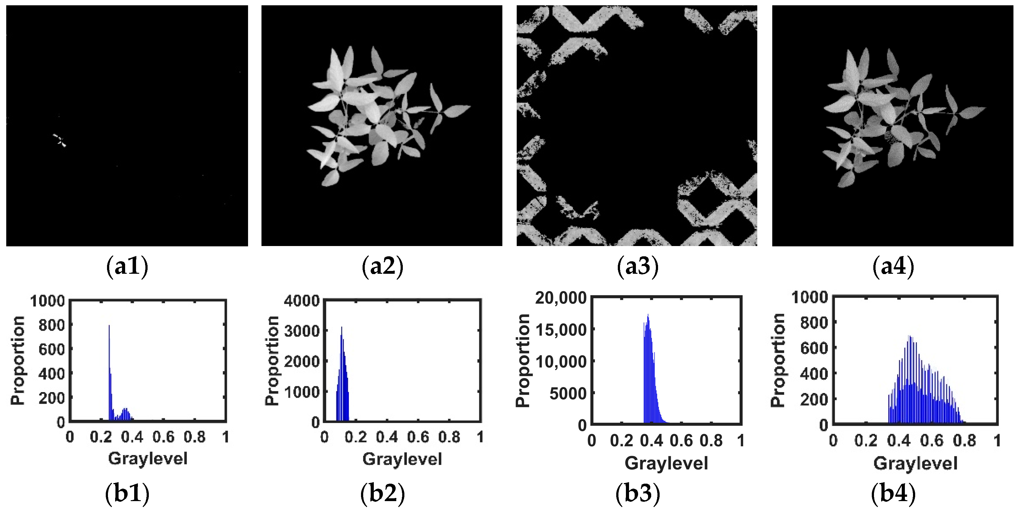 Agronomy 12 01650 g009