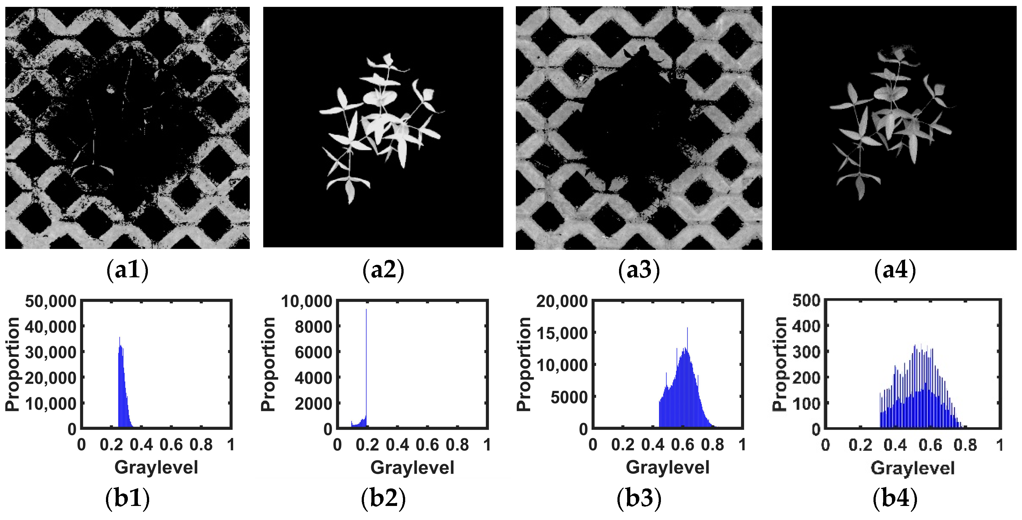 Agronomy 12 01650 g010