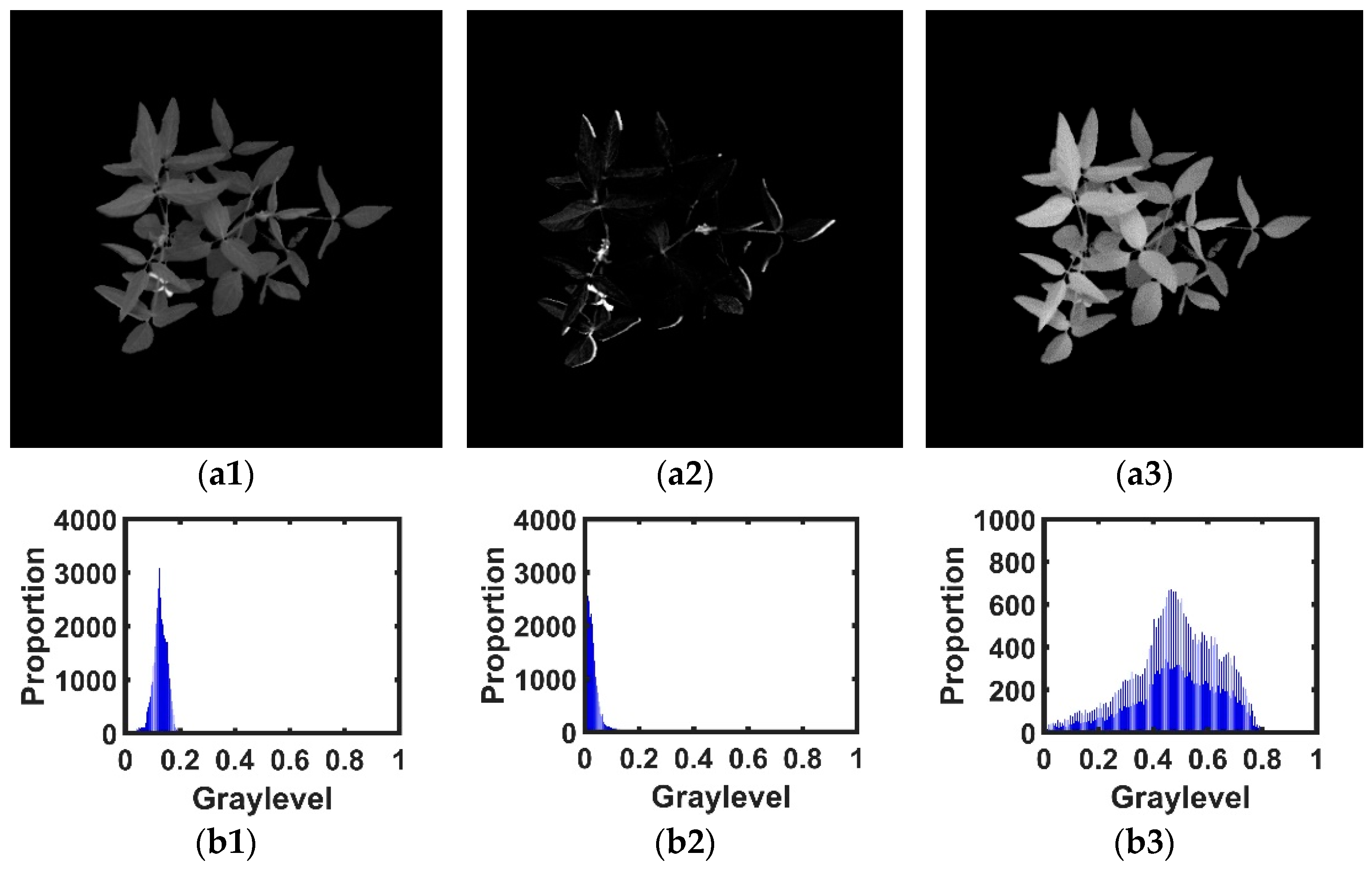 Agronomy 12 01650 g011