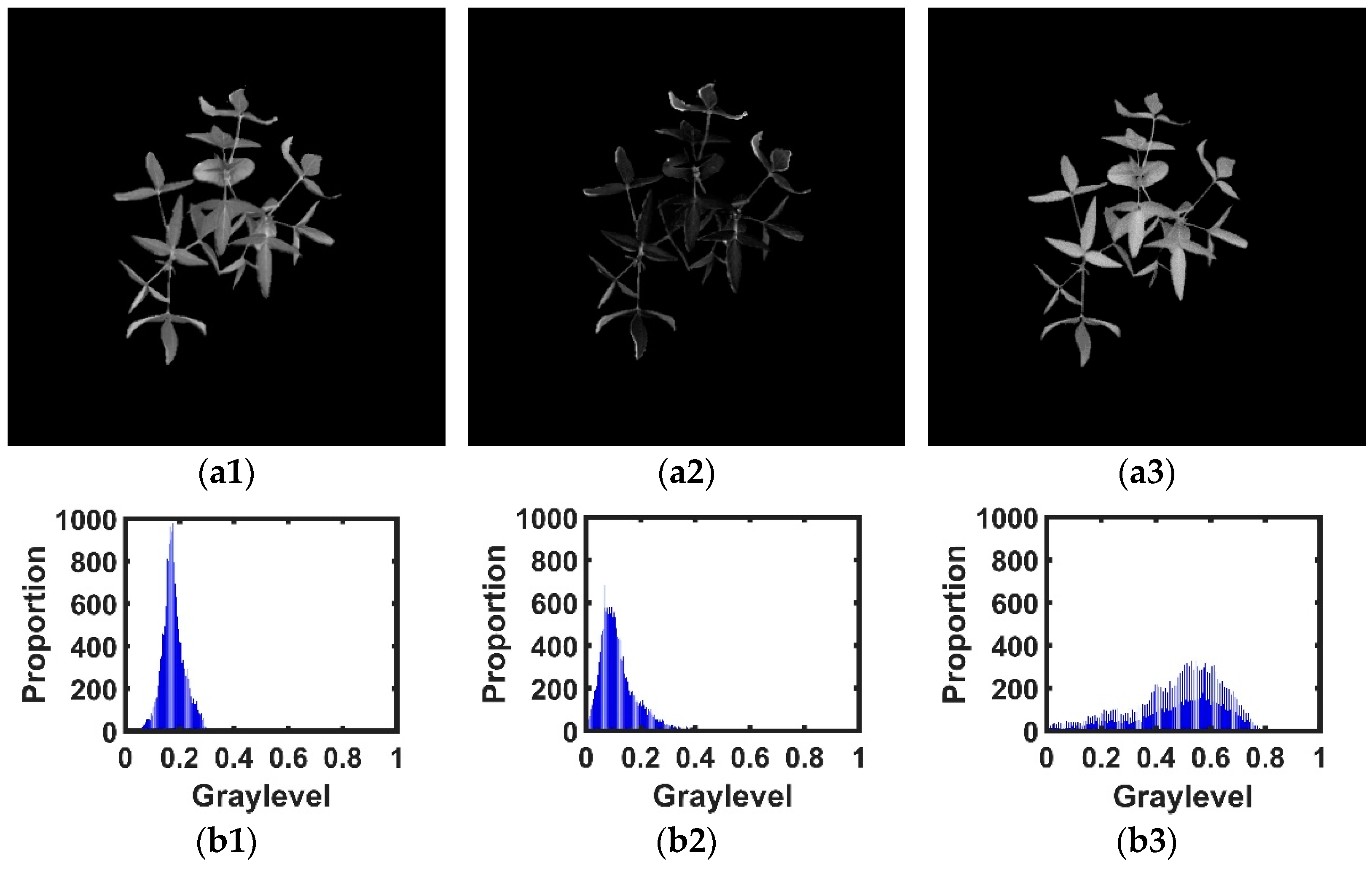 Agronomy 12 01650 g012