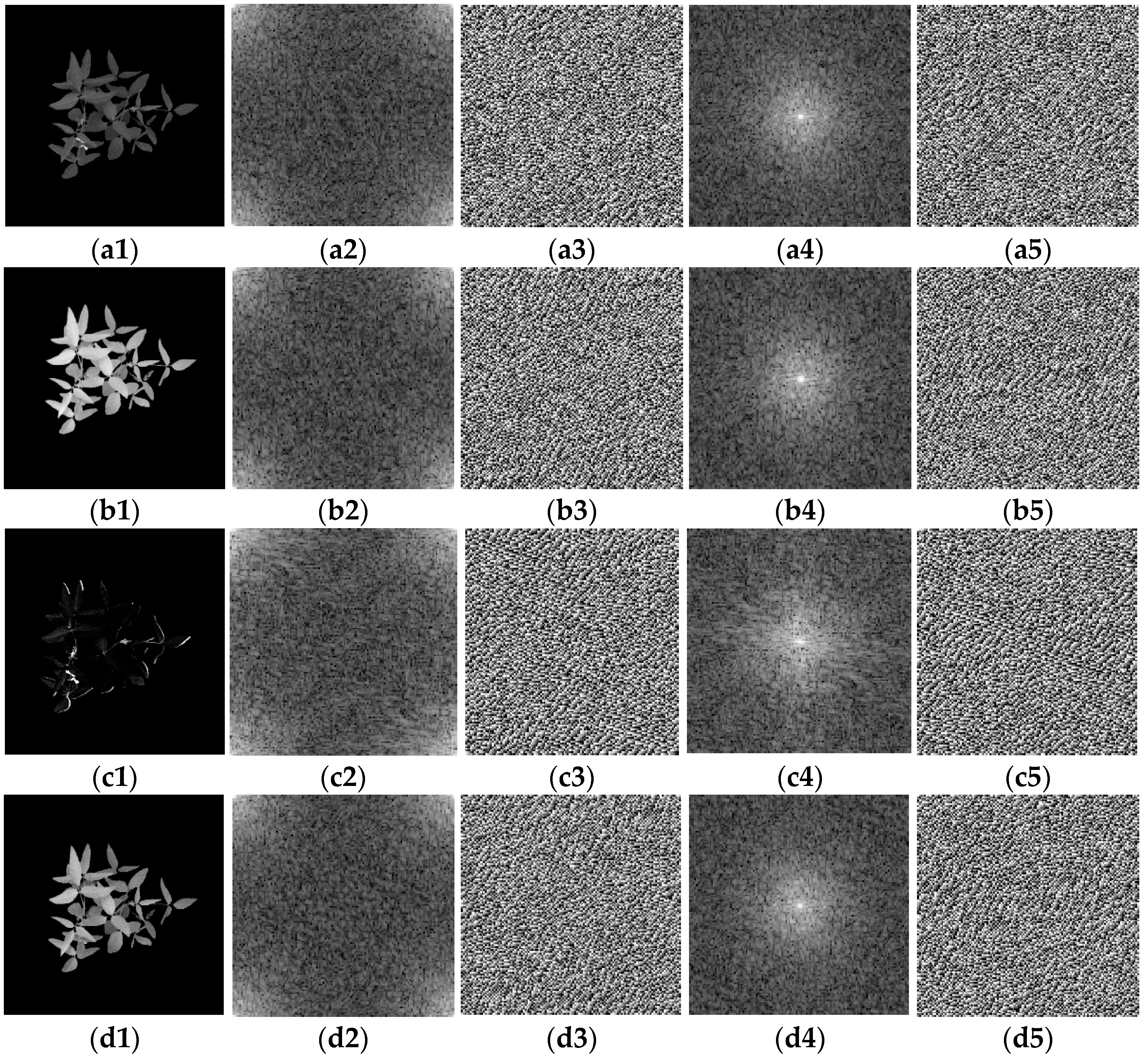 Agronomy 12 01650 g014