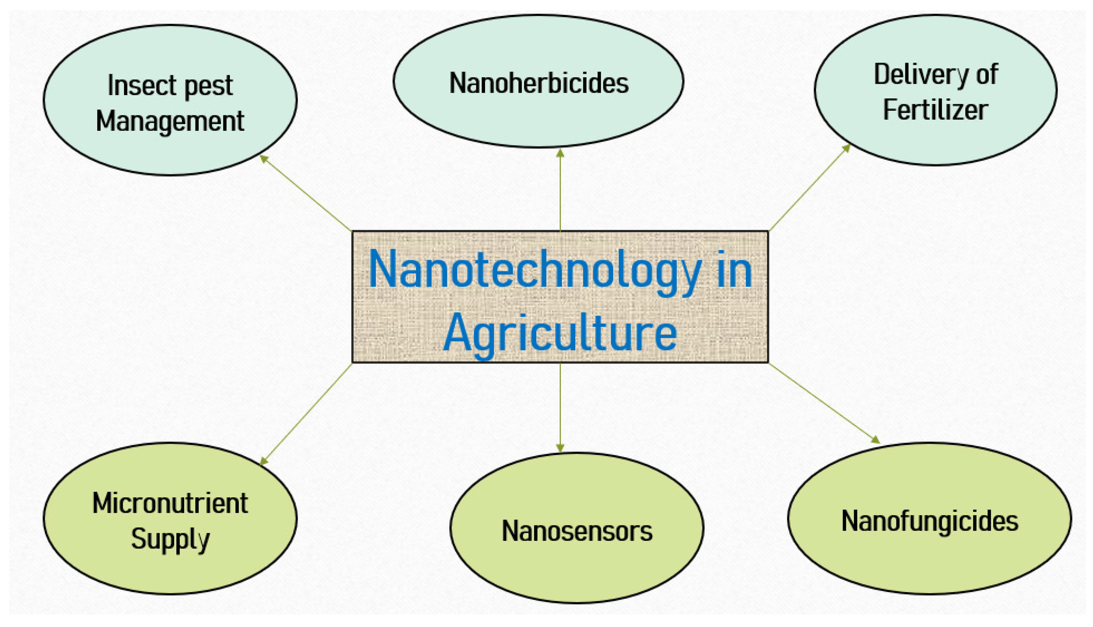 Agronomy 12 01657 g001
