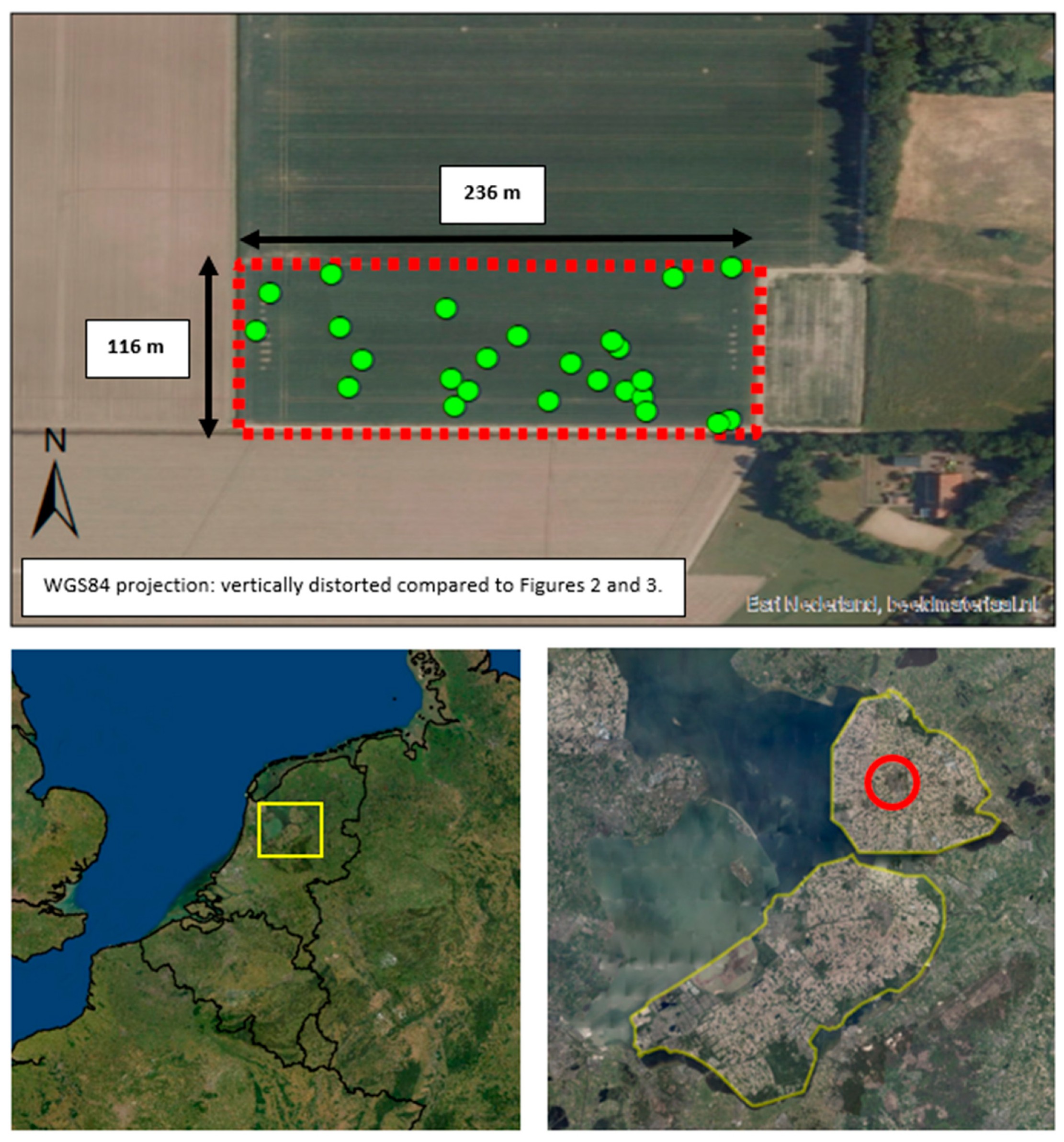 Agronomy 12 01669 g001