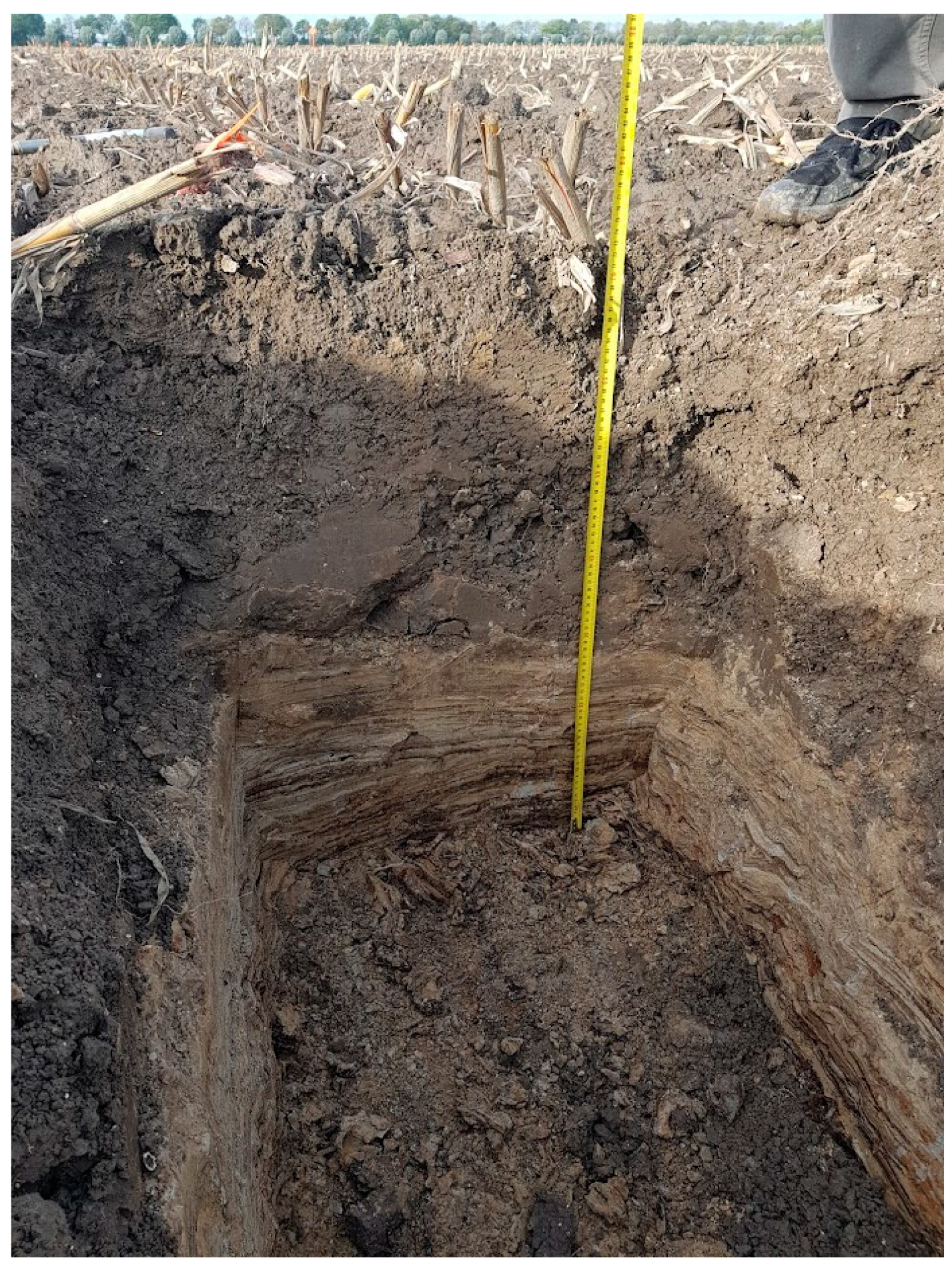 Agronomy 12 01669 g004