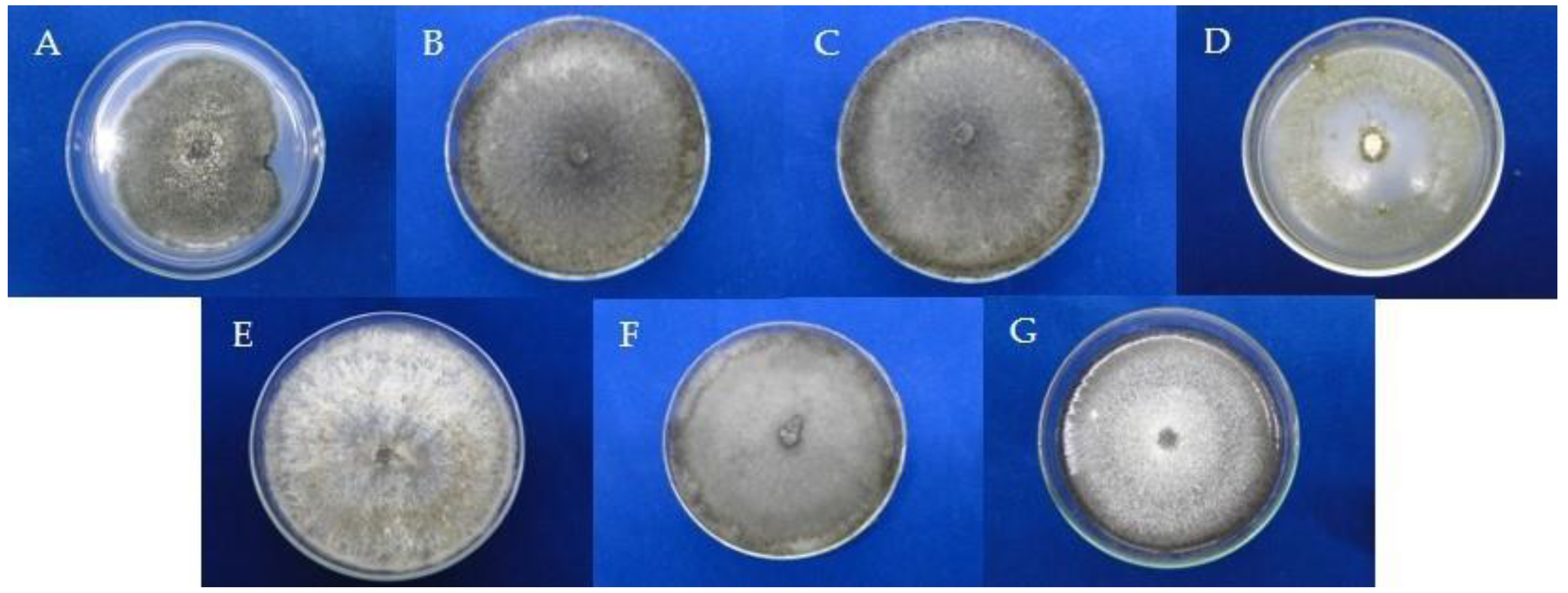Agronomy 12 01690 g001