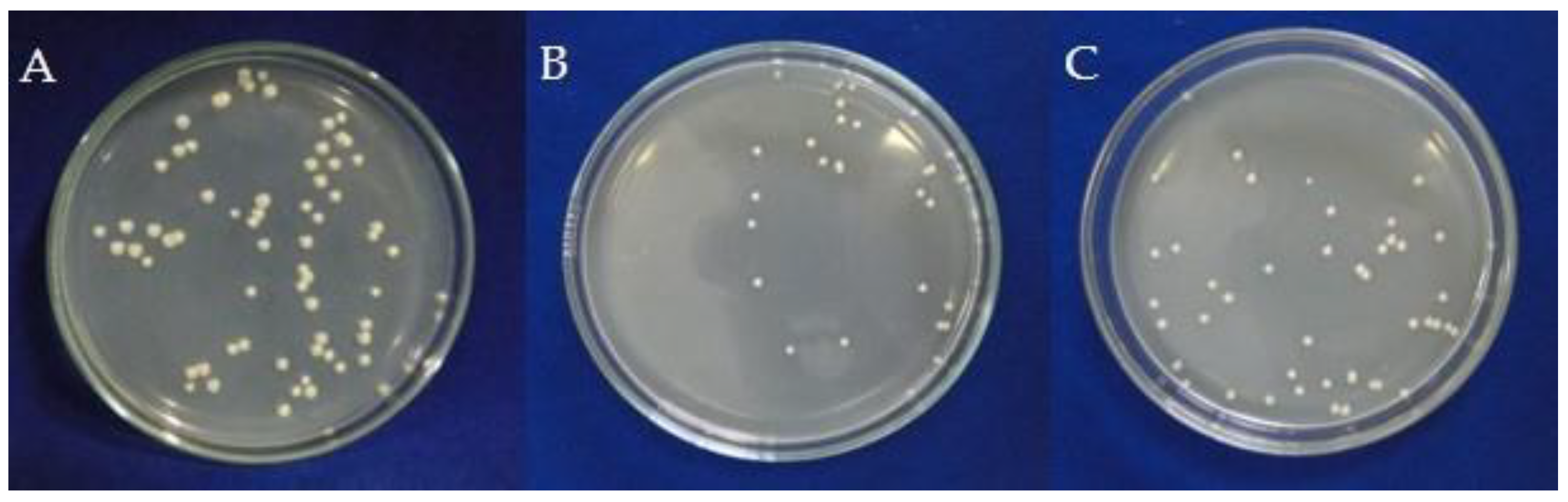 Agronomy 12 01690 g002