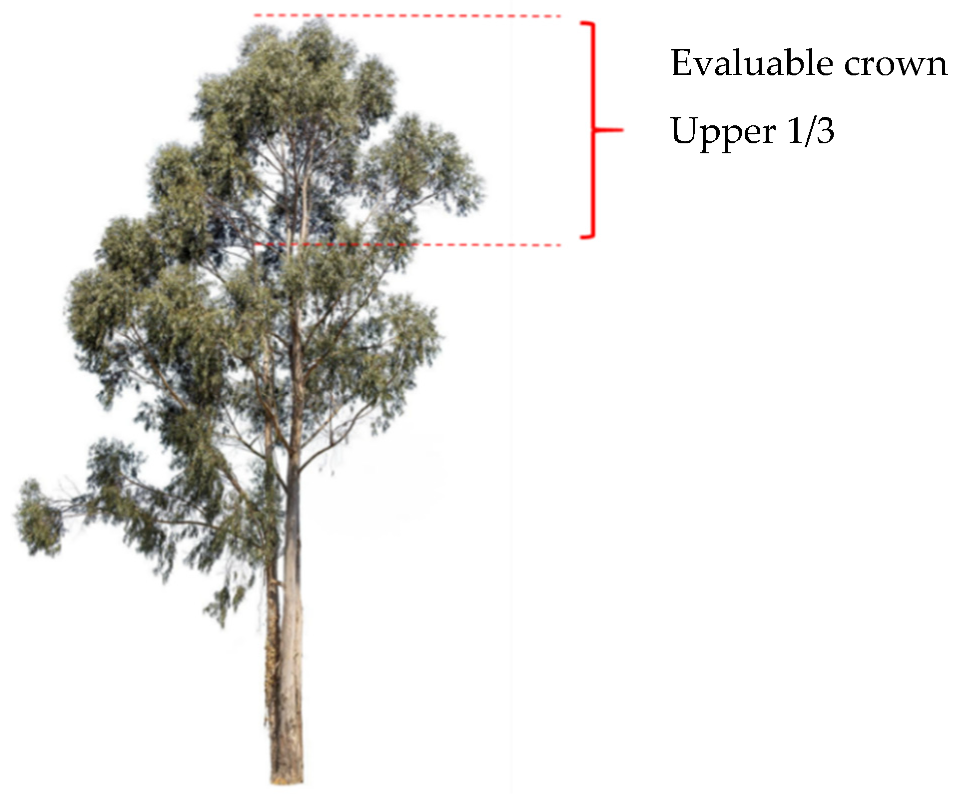 Agronomy 12 01692 g003