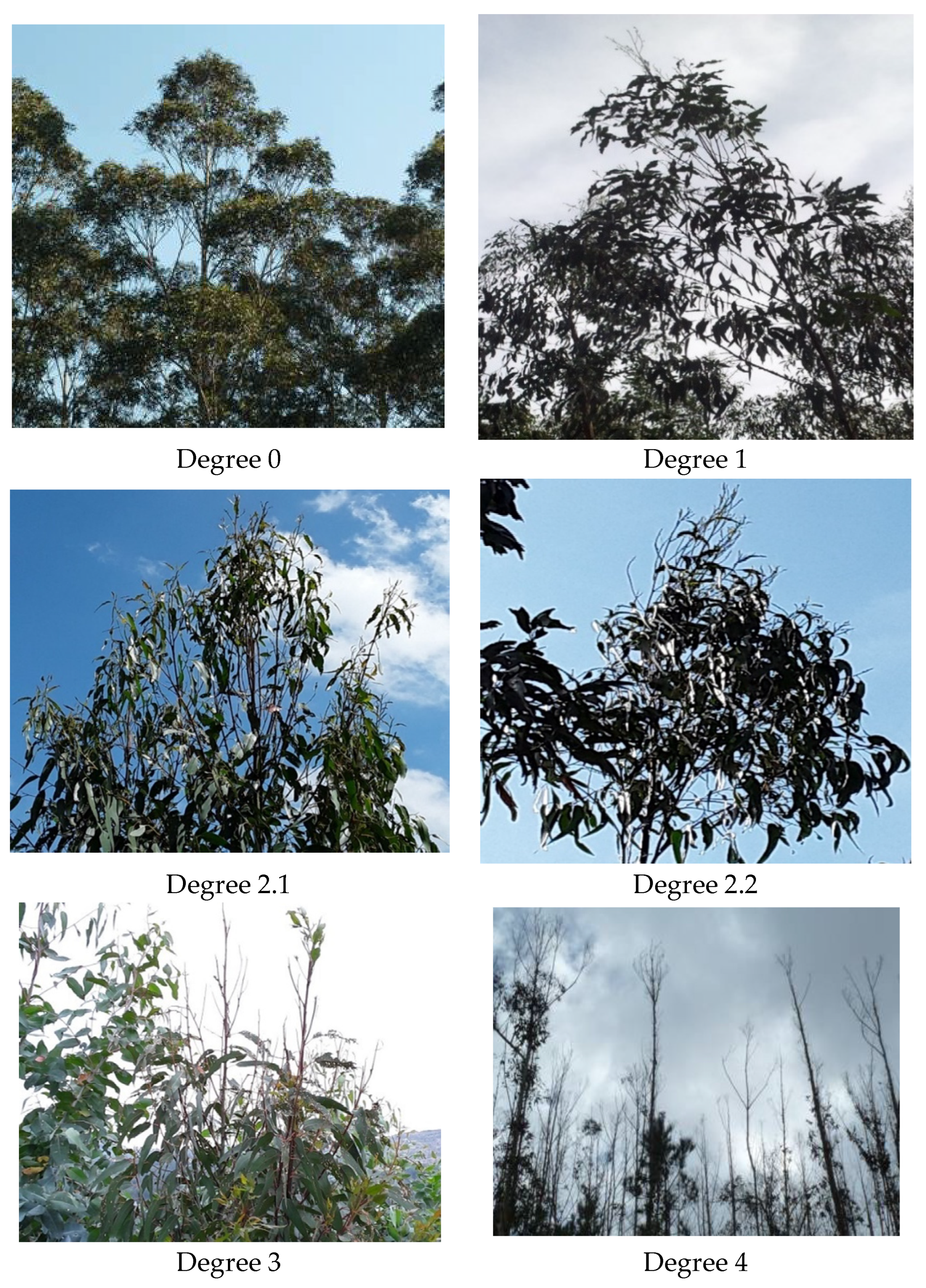 Agronomy 12 01692 g004