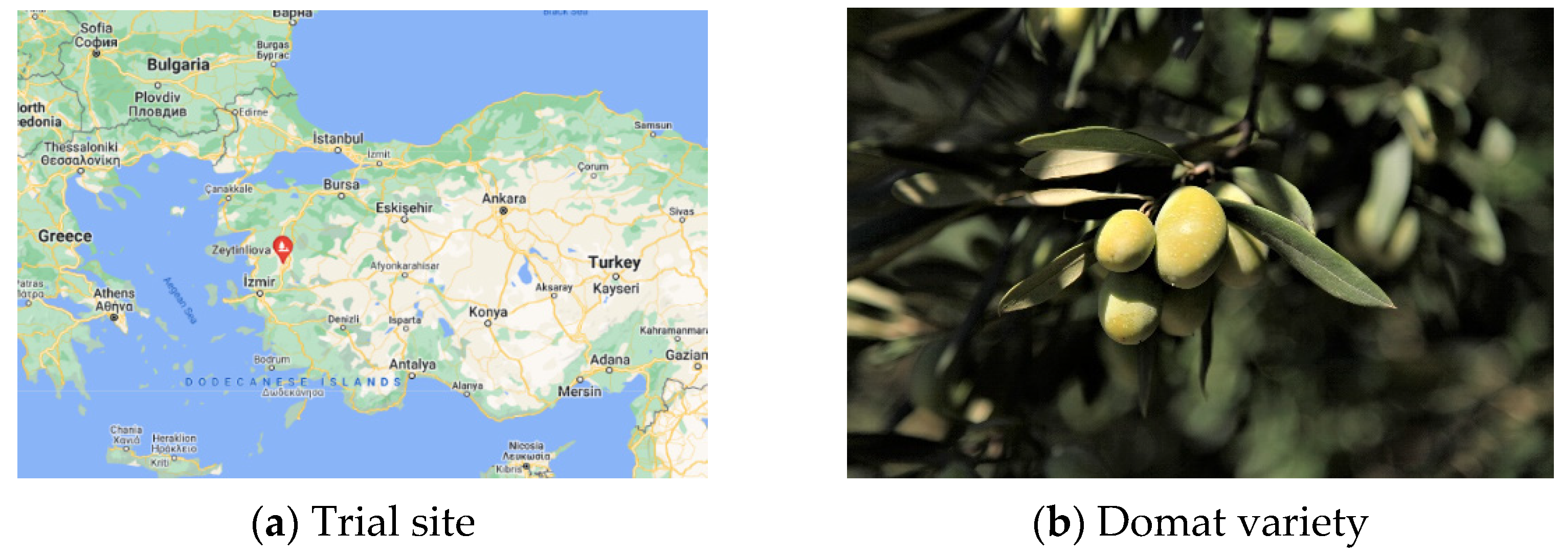 Agronomy 12 01712 g001