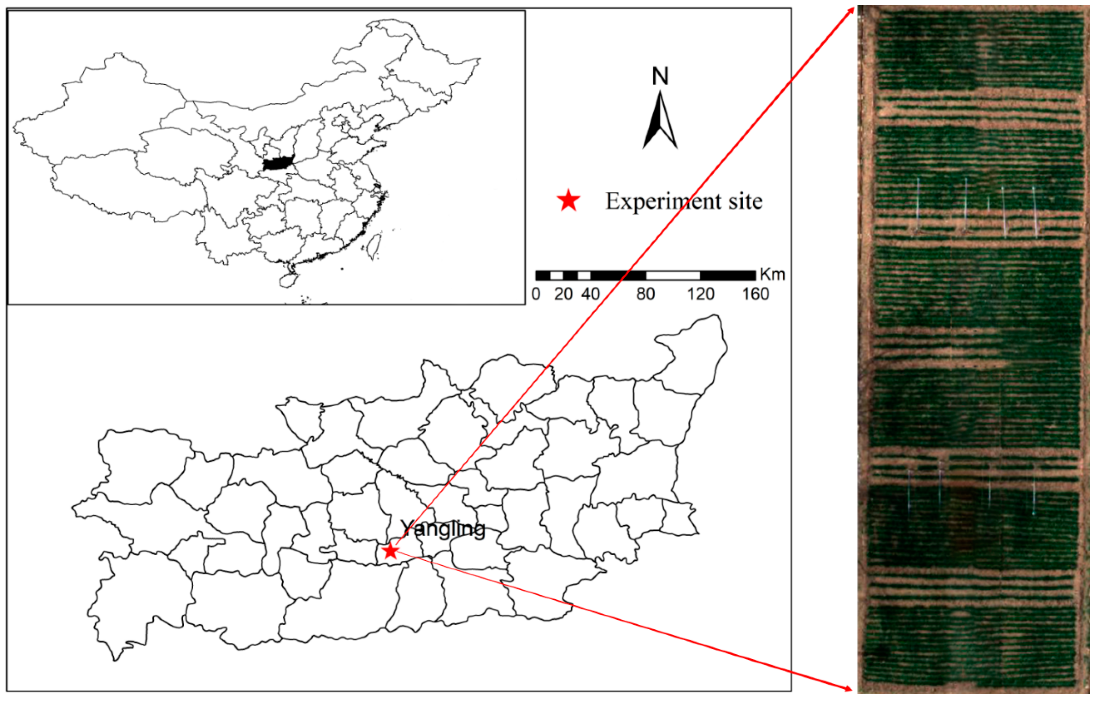 Agronomy 12 01729 g001