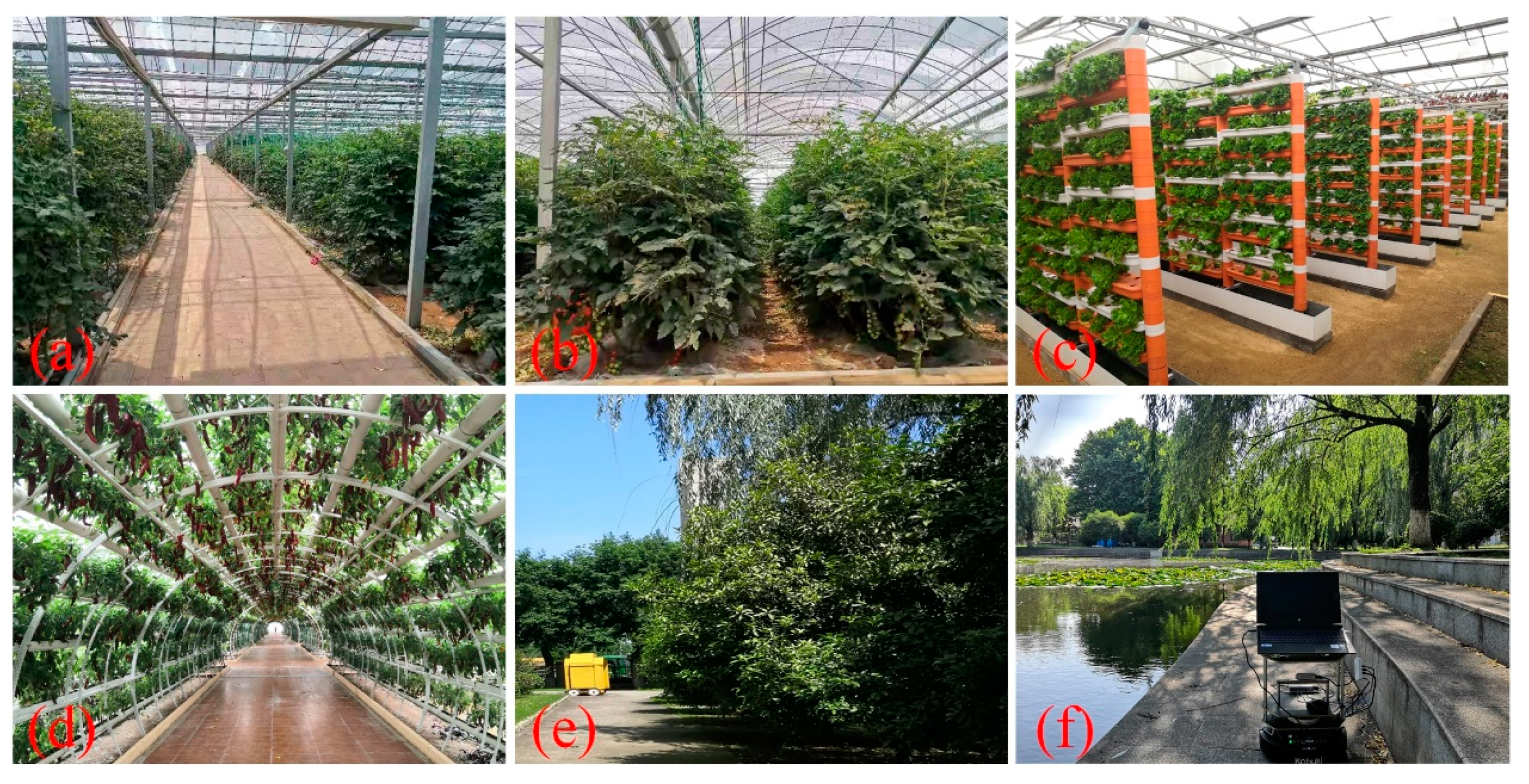 Agronomy 12 01740 g005