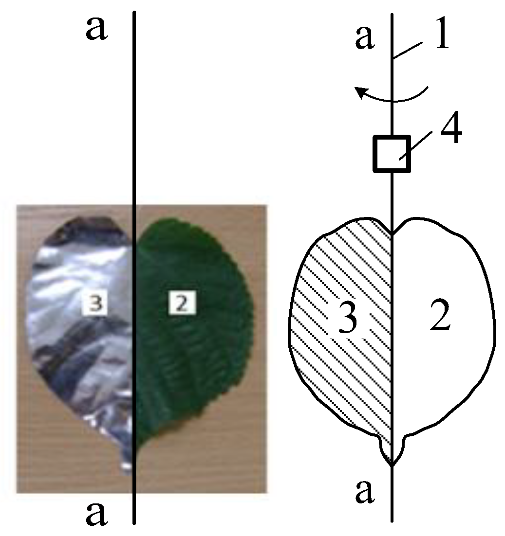 Agronomy 12 01742 g001