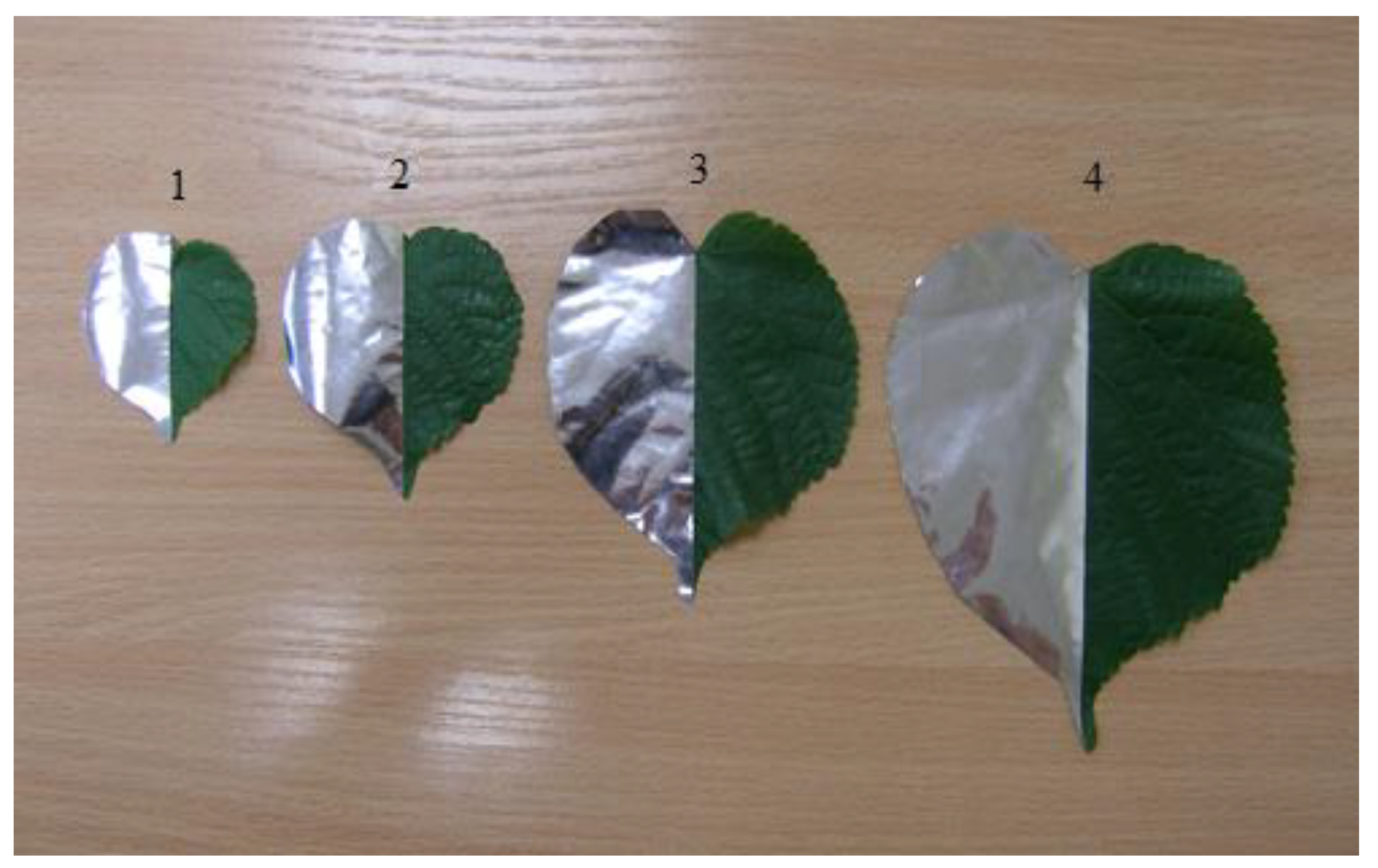 Agronomy 12 01742 g002