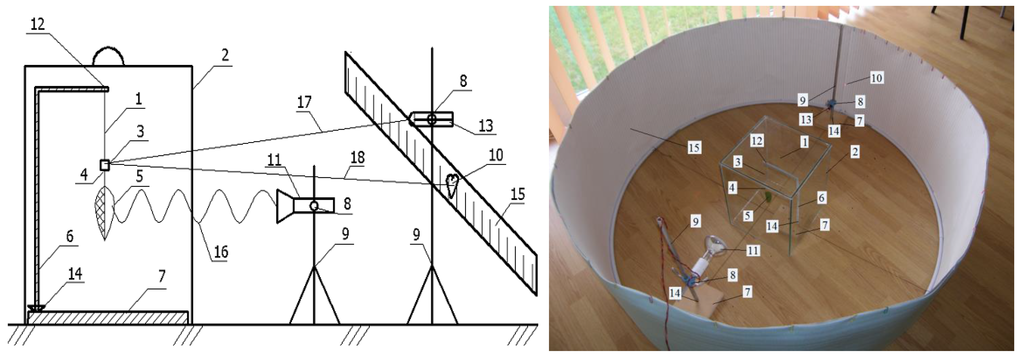 Agronomy 12 01742 g003