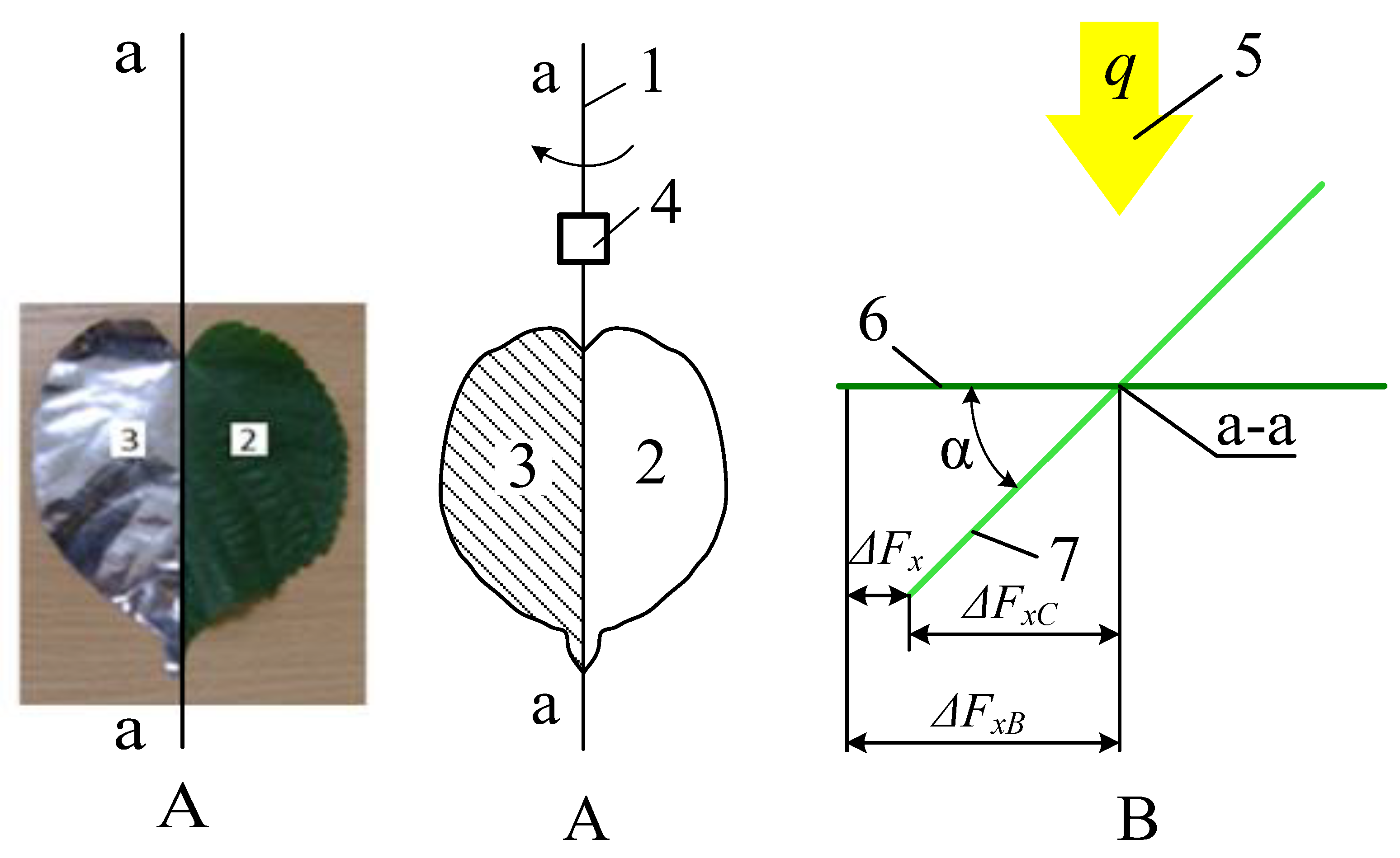 Agronomy 12 01742 g011