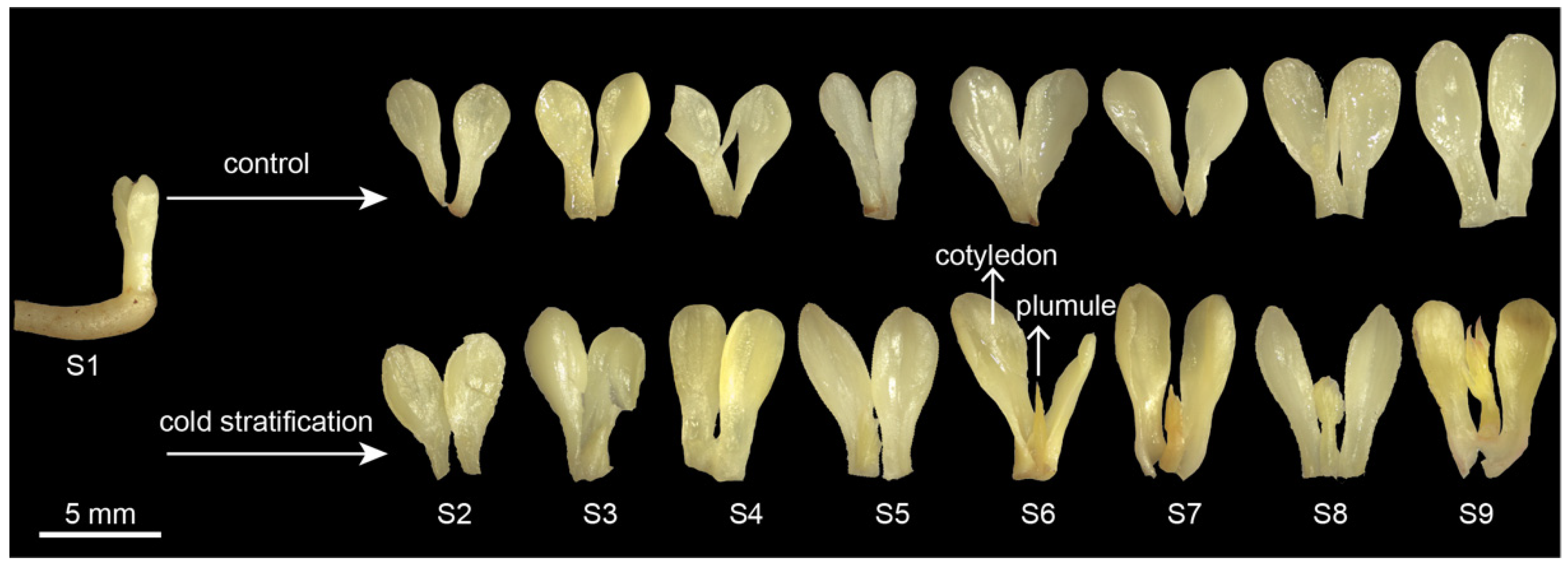 Agronomy 12 01745 g001