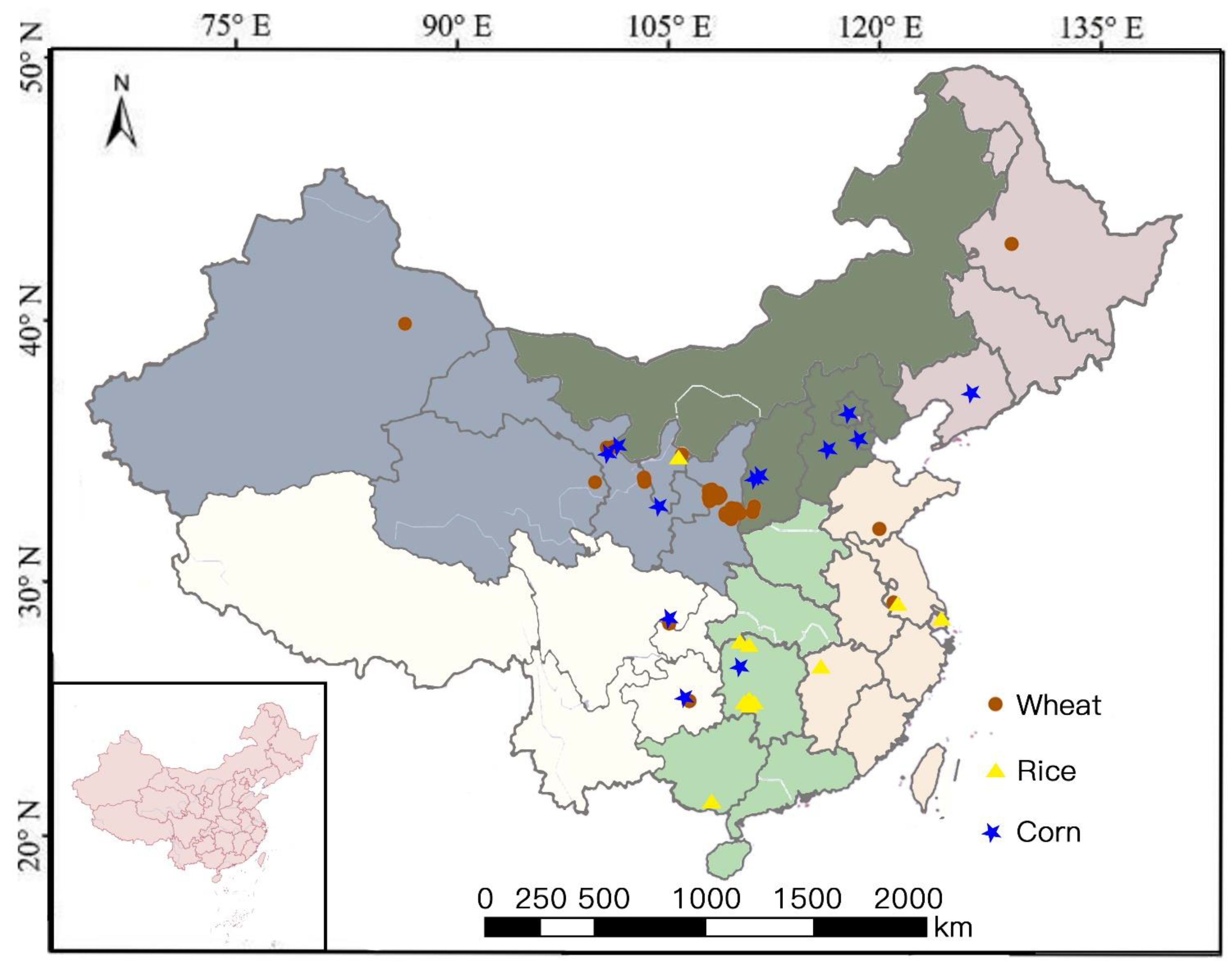 Agronomy 12 01753 g001