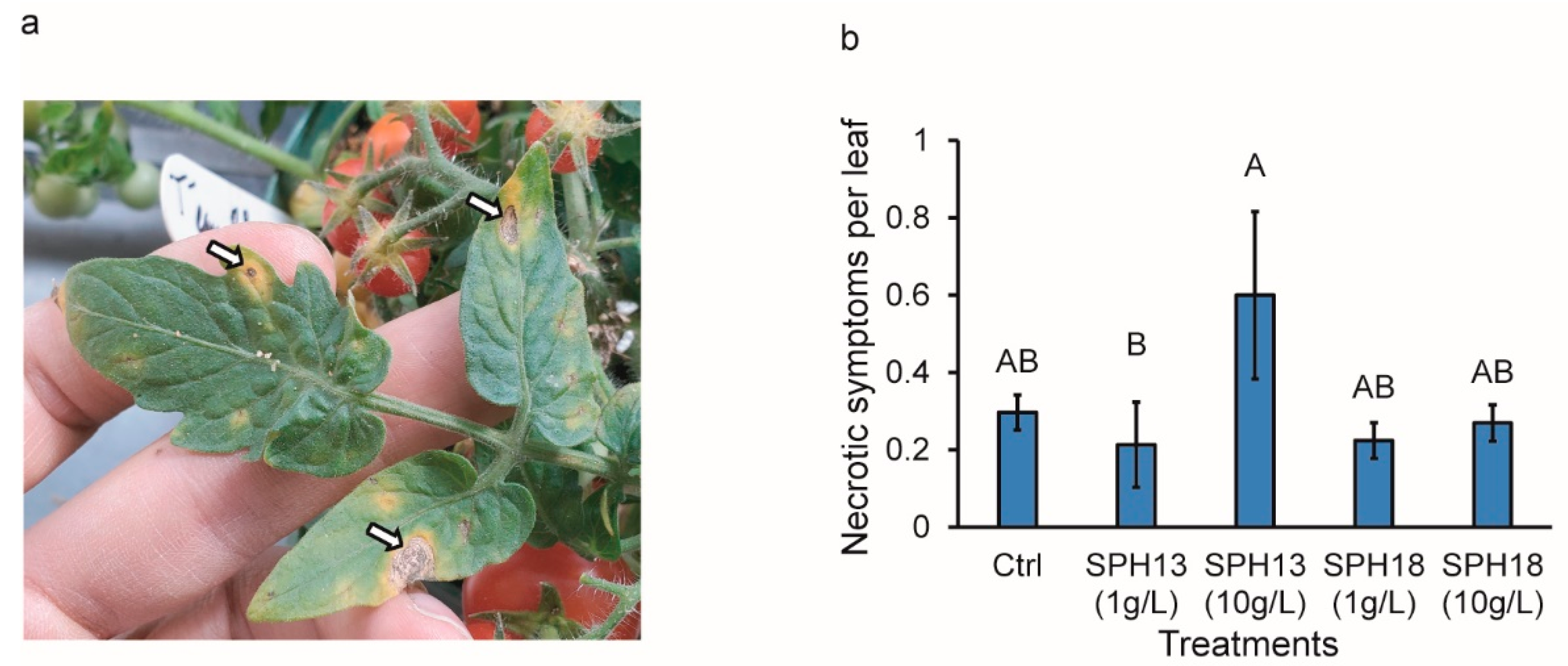 Agronomy 12 01761 g004