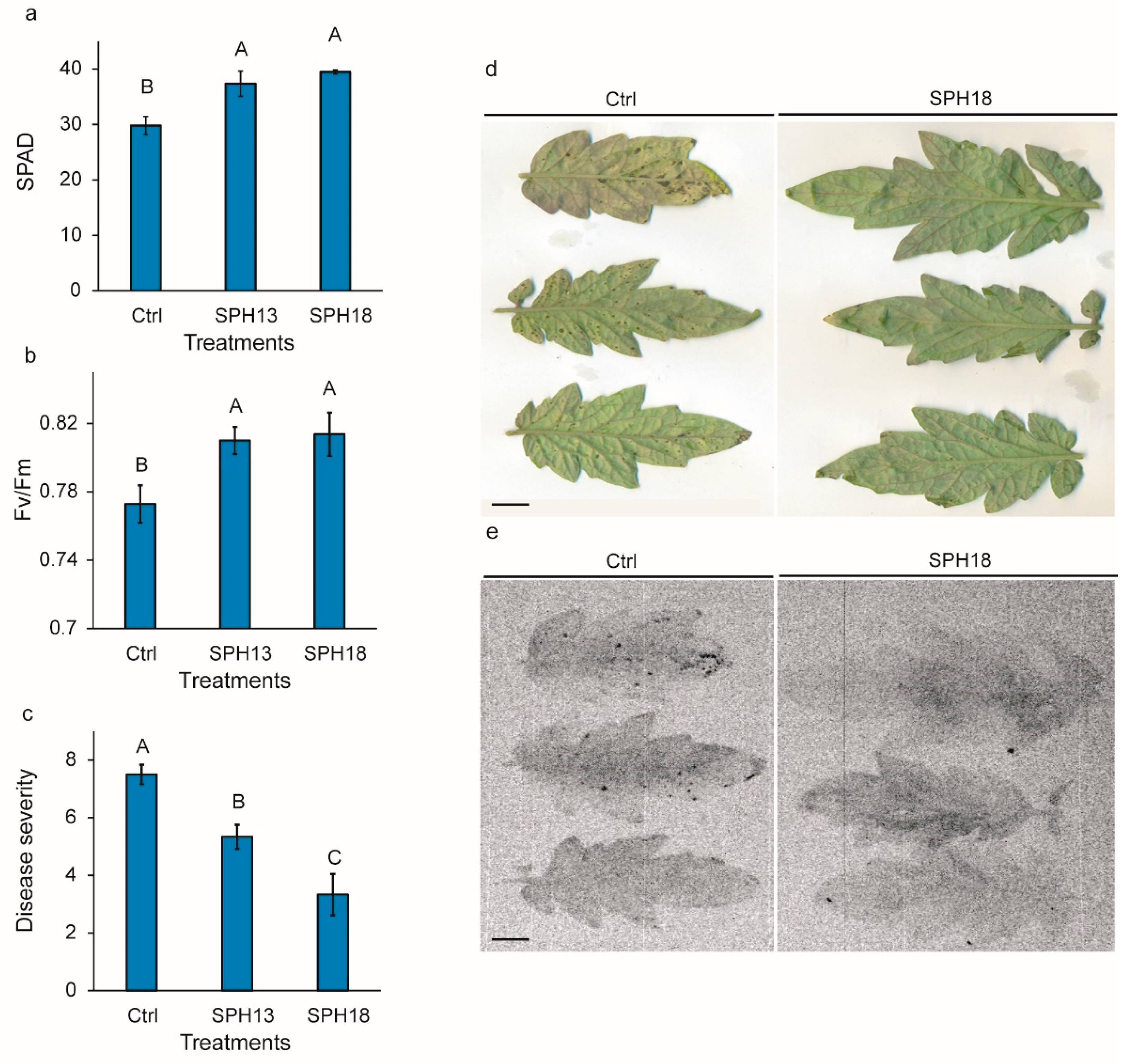 Agronomy 12 01761 g005