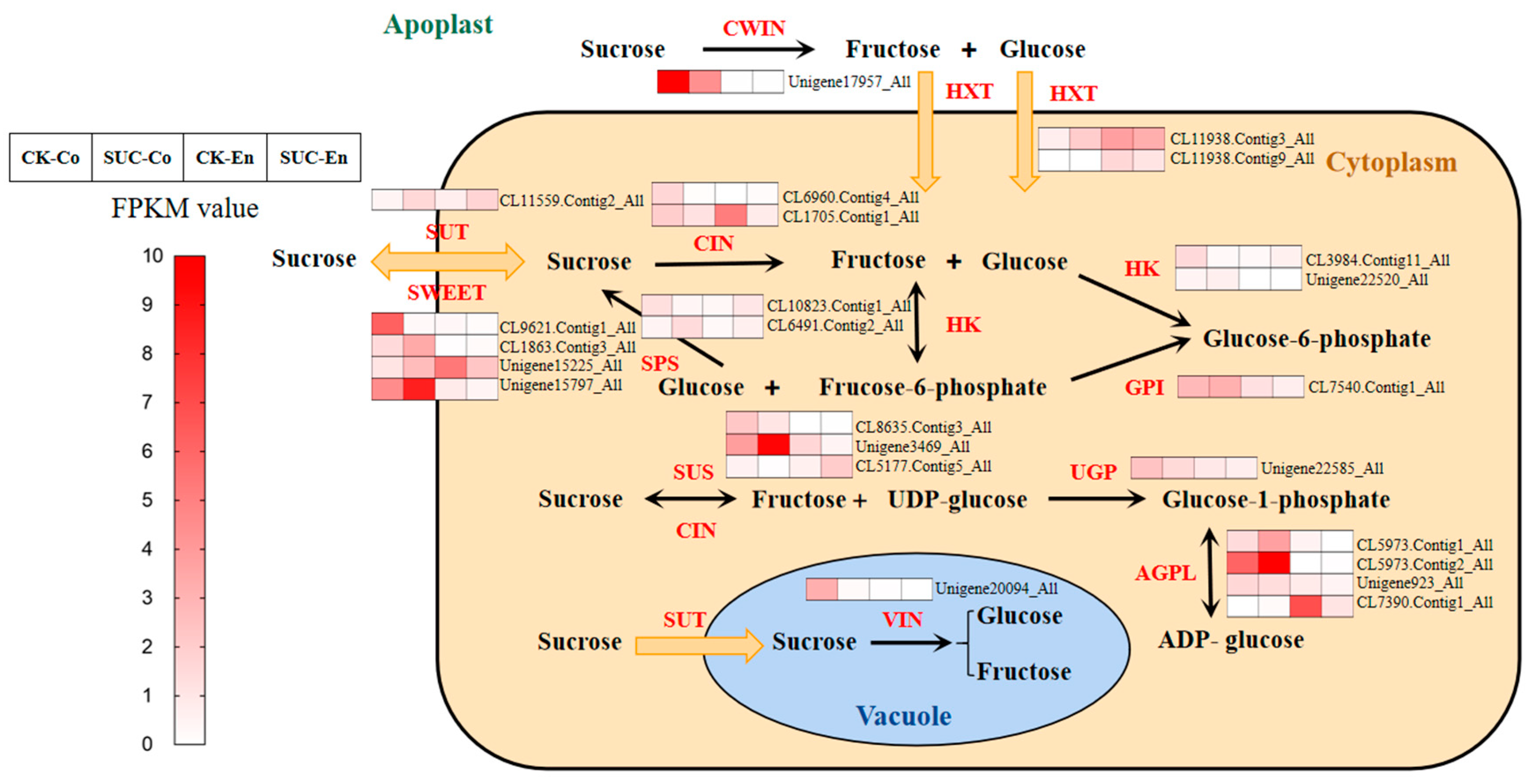 Agronomy 12 01771 g005
