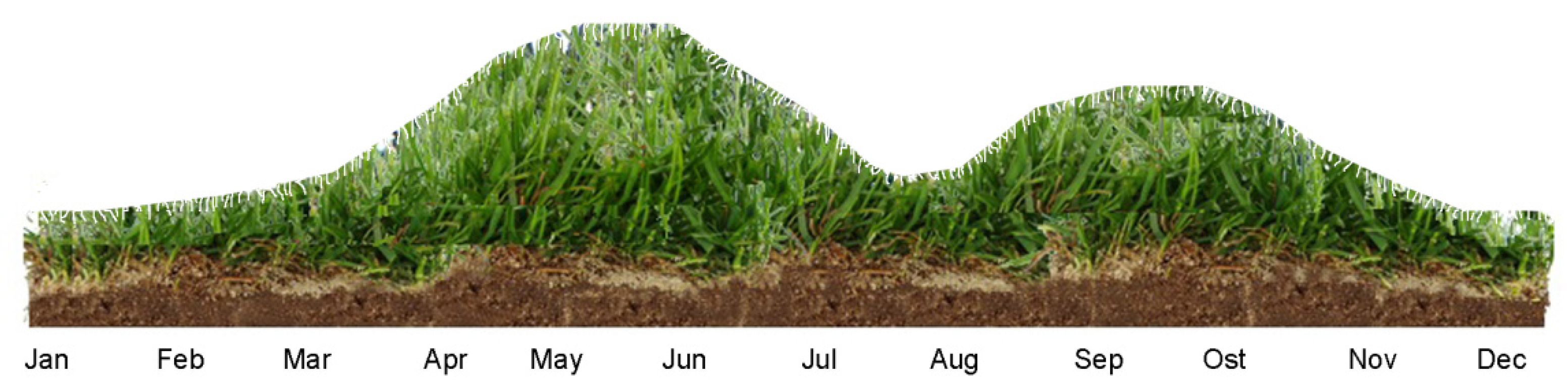 Agronomy 12 01776 g001