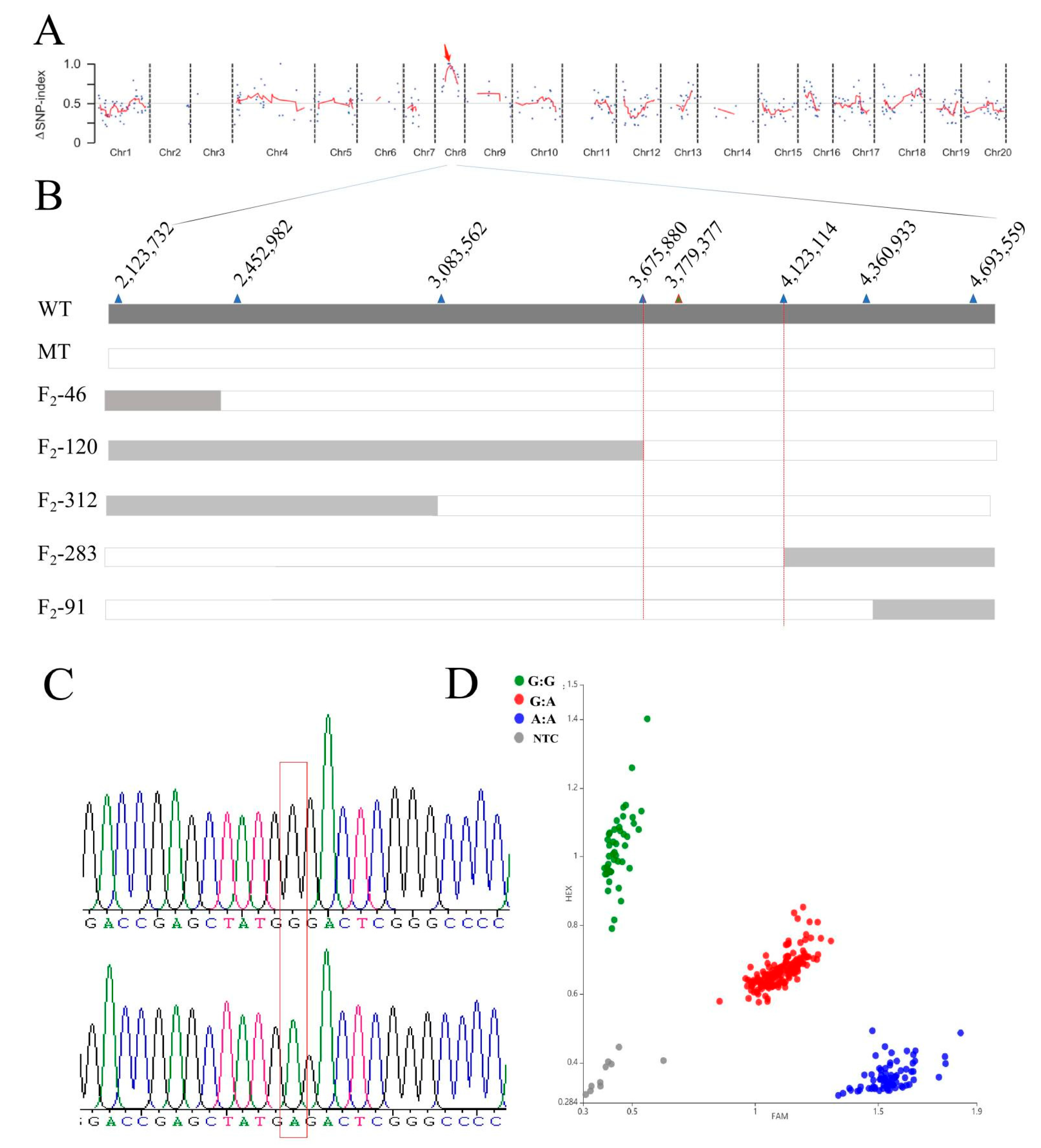 Agronomy 12 01779 g003