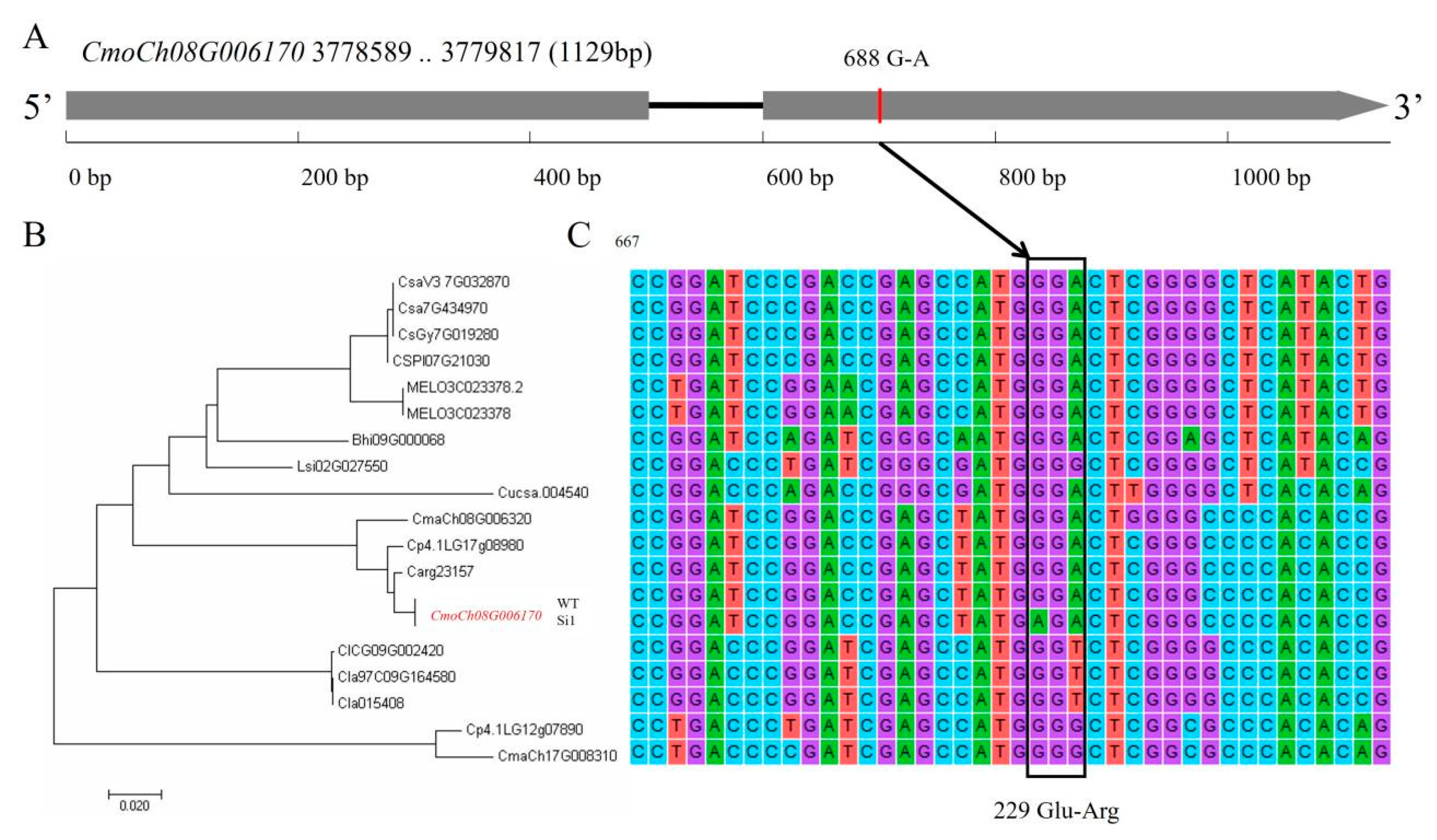 Agronomy 12 01779 g004