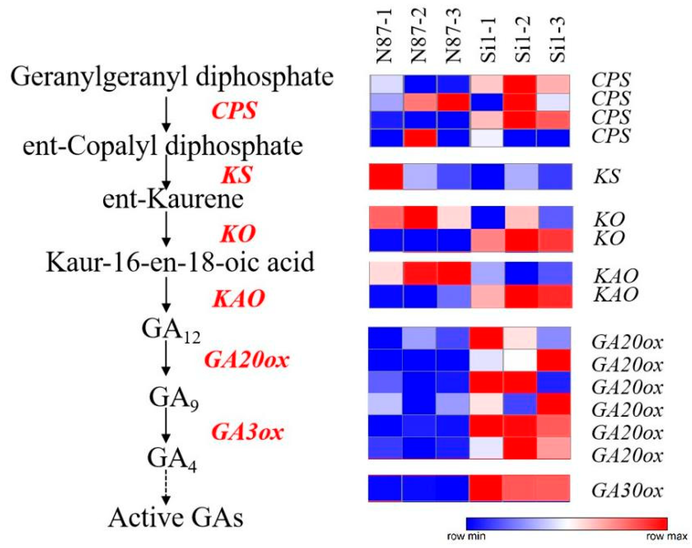 Agronomy 12 01779 g005