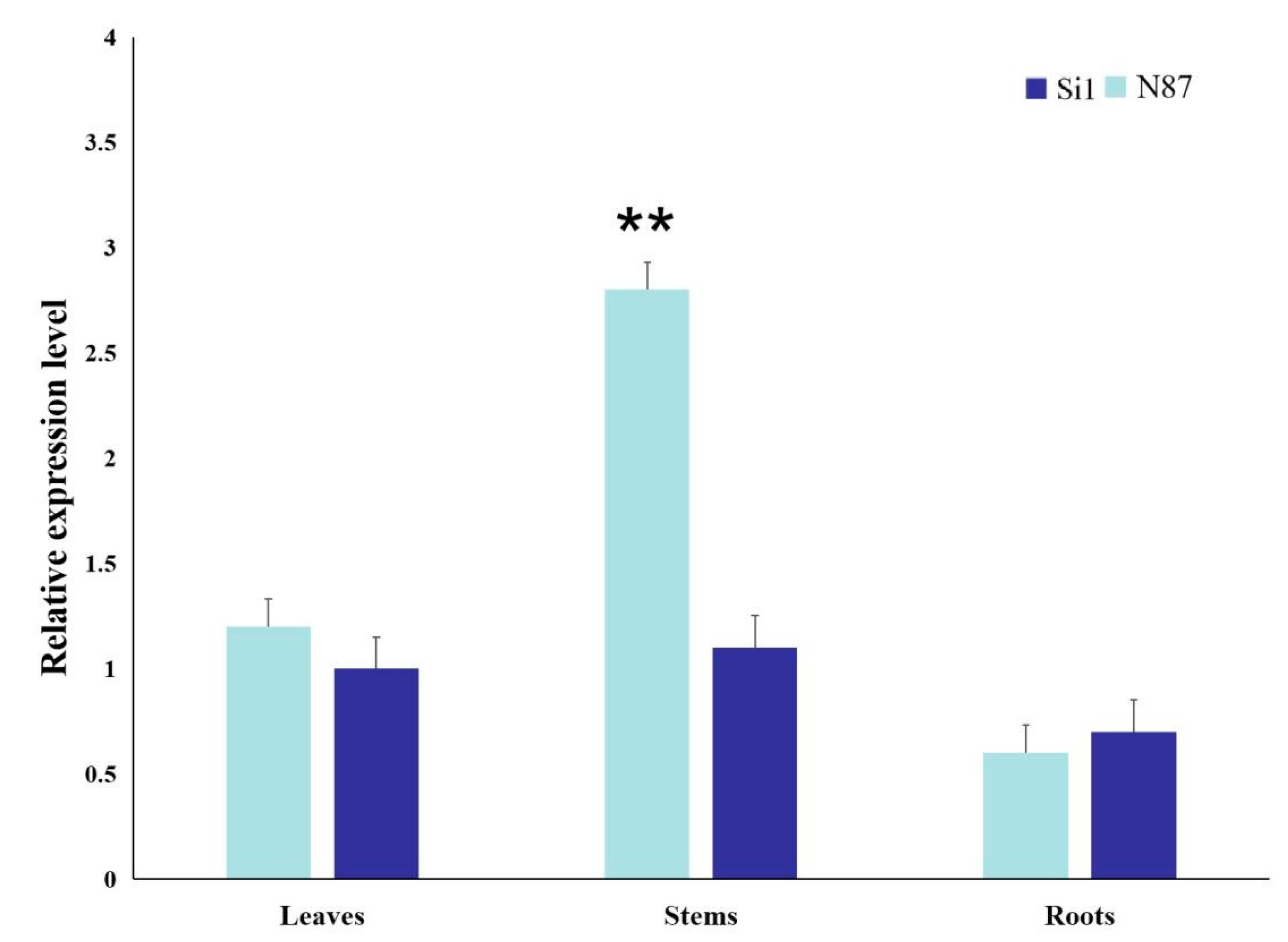 Agronomy 12 01779 g006
