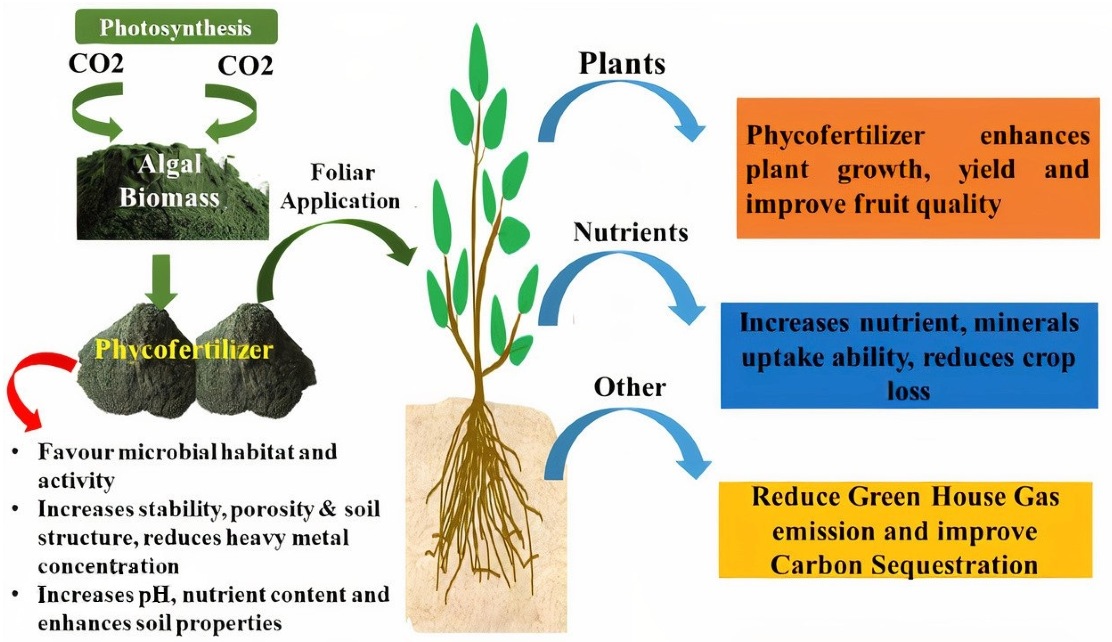 Agronomy 12 01788 g001