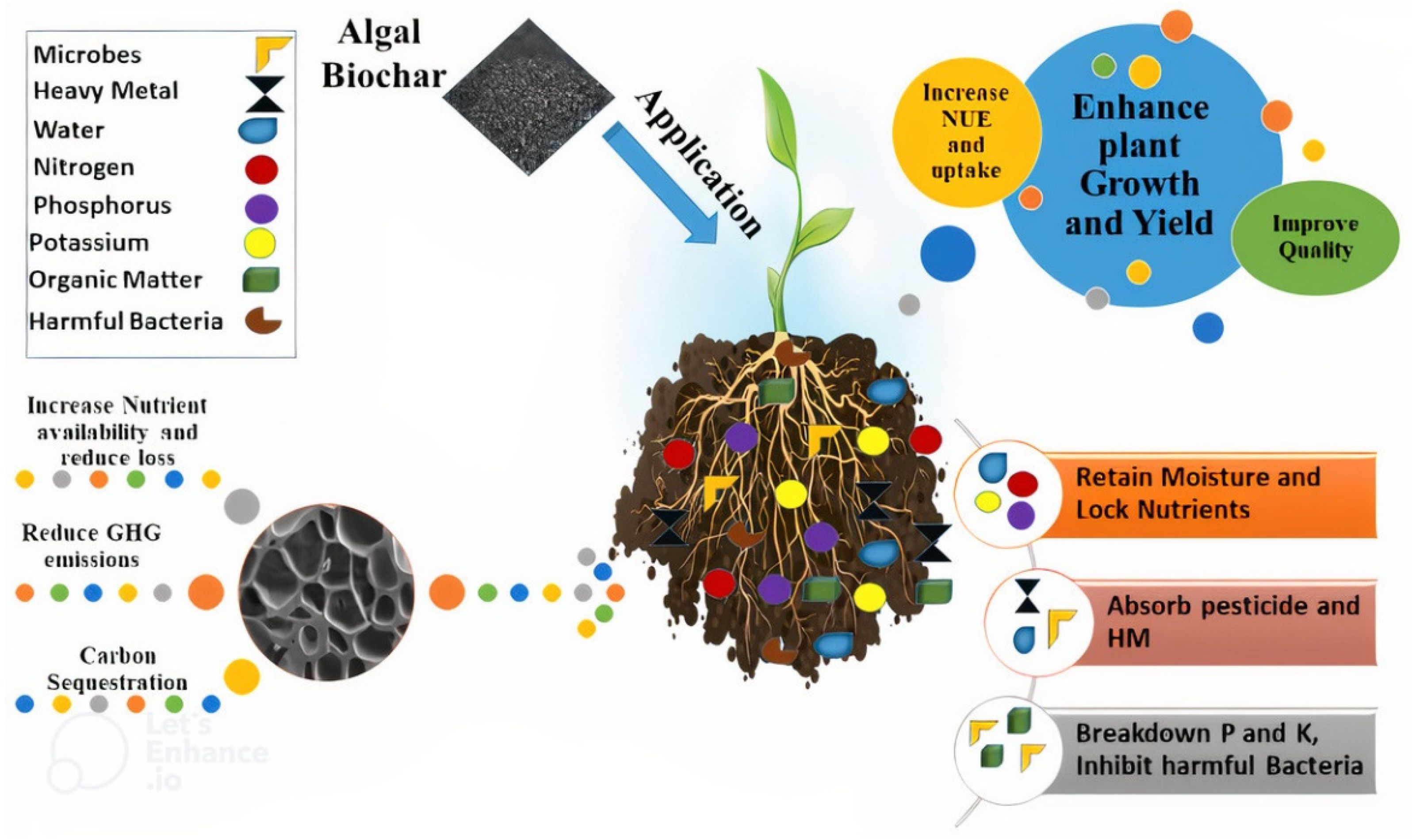 Agronomy 12 01788 g003