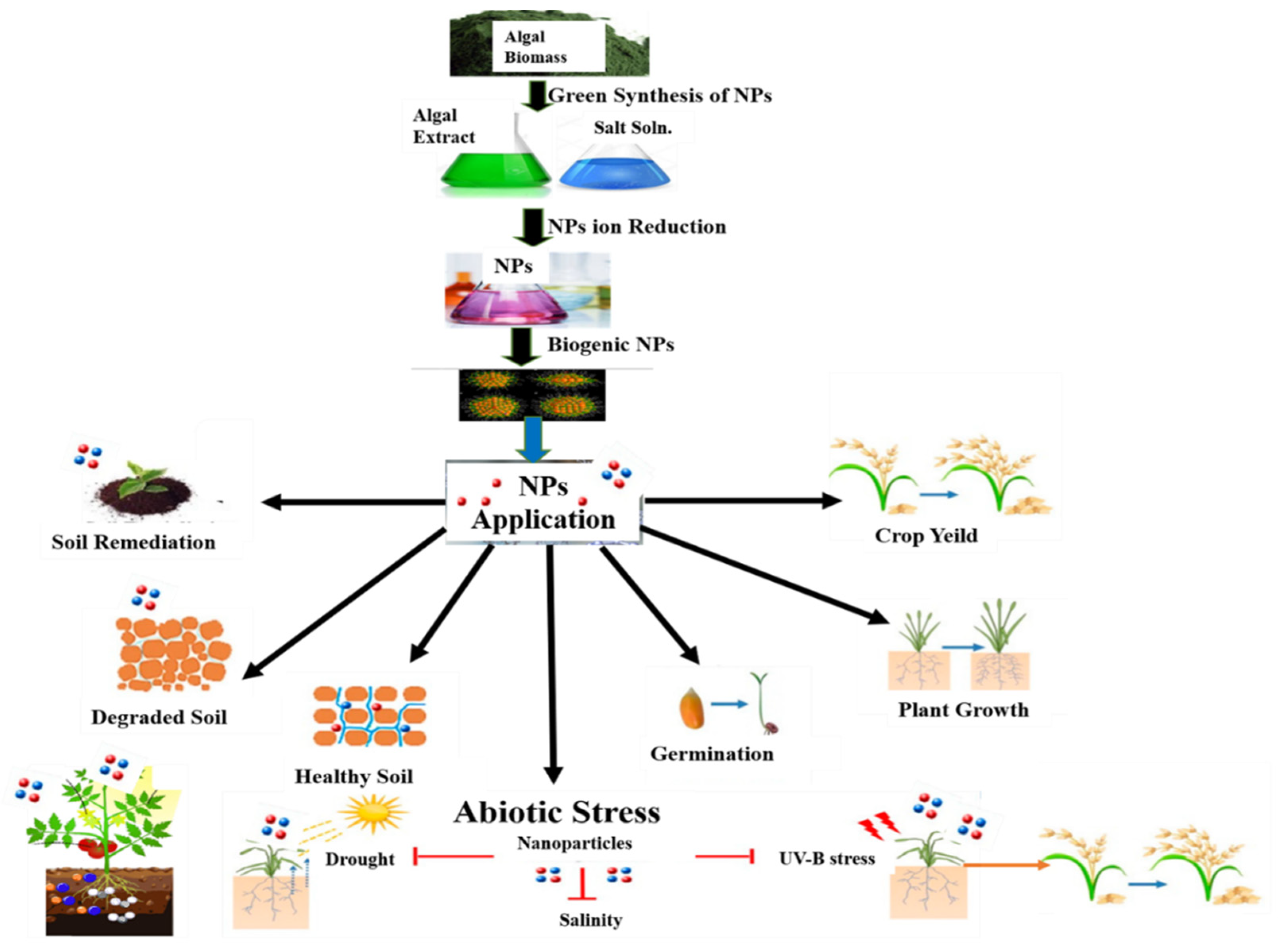 Agronomy 12 01788 g004