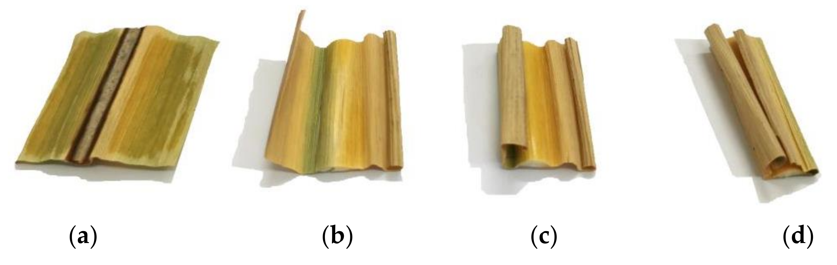 Agronomy 12 01796 g003